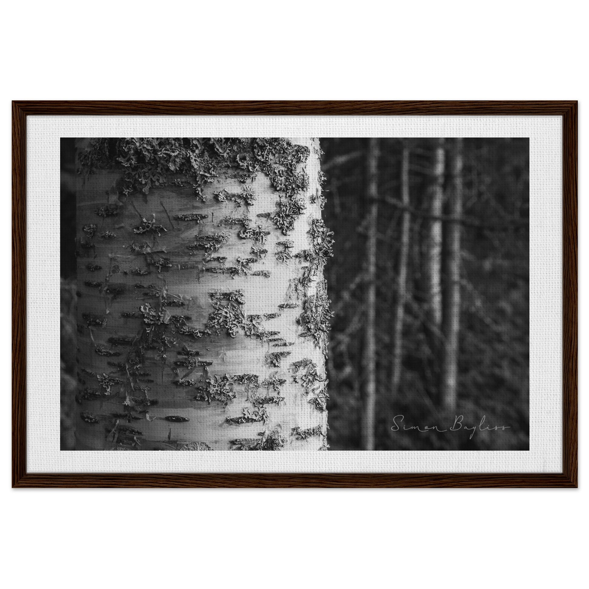 91112c27-6179-4121-b57a-5db926b8136c