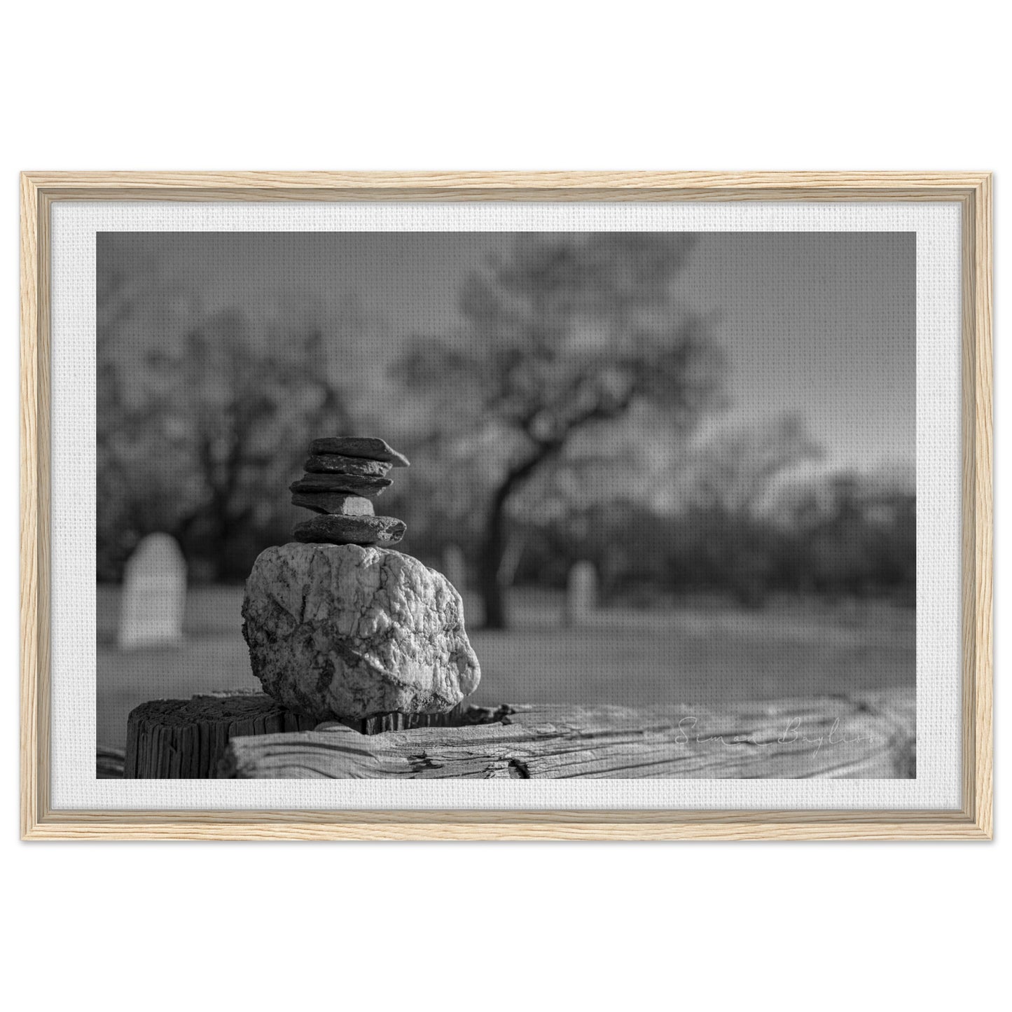 9155c58e-81d8-49e6-ade9-f1651ef55e5f