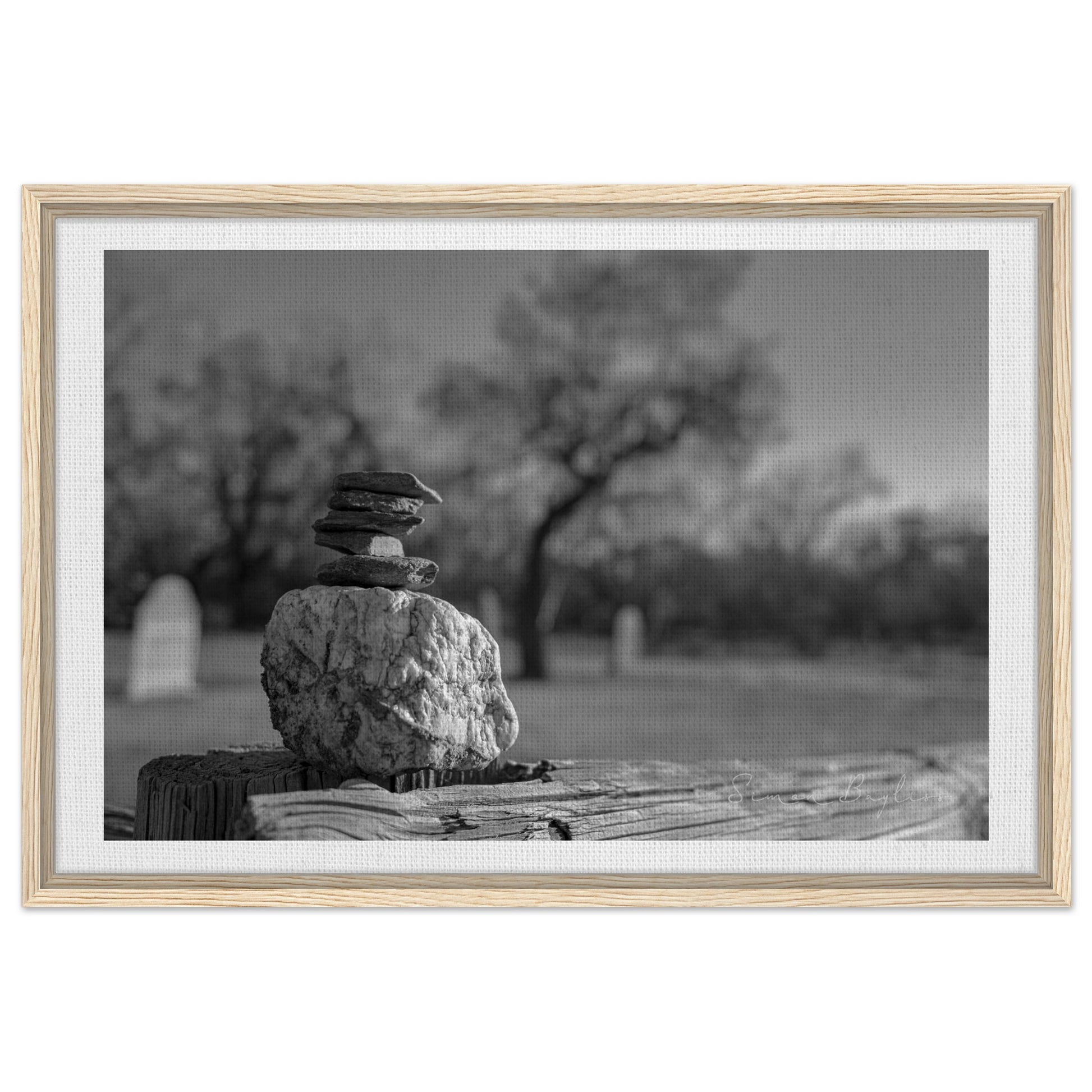 9155c58e-81d8-49e6-ade9-f1651ef55e5f