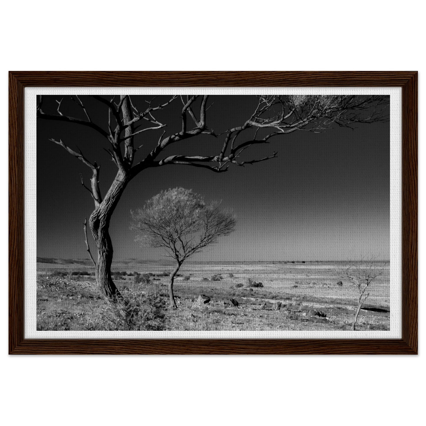 915ef1d7-d542-4476-8dba-844b0b16e515