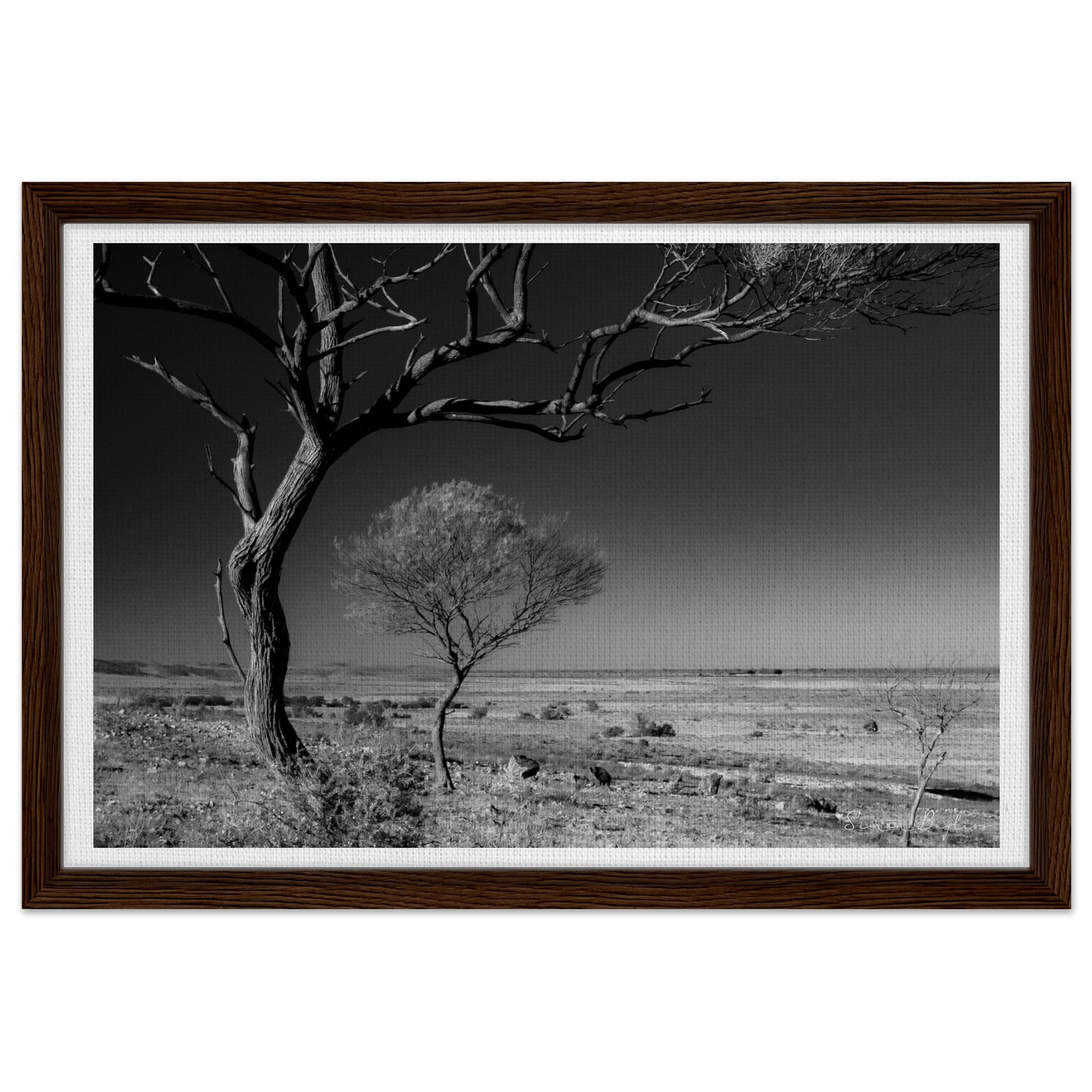 915ef1d7-d542-4476-8dba-844b0b16e515