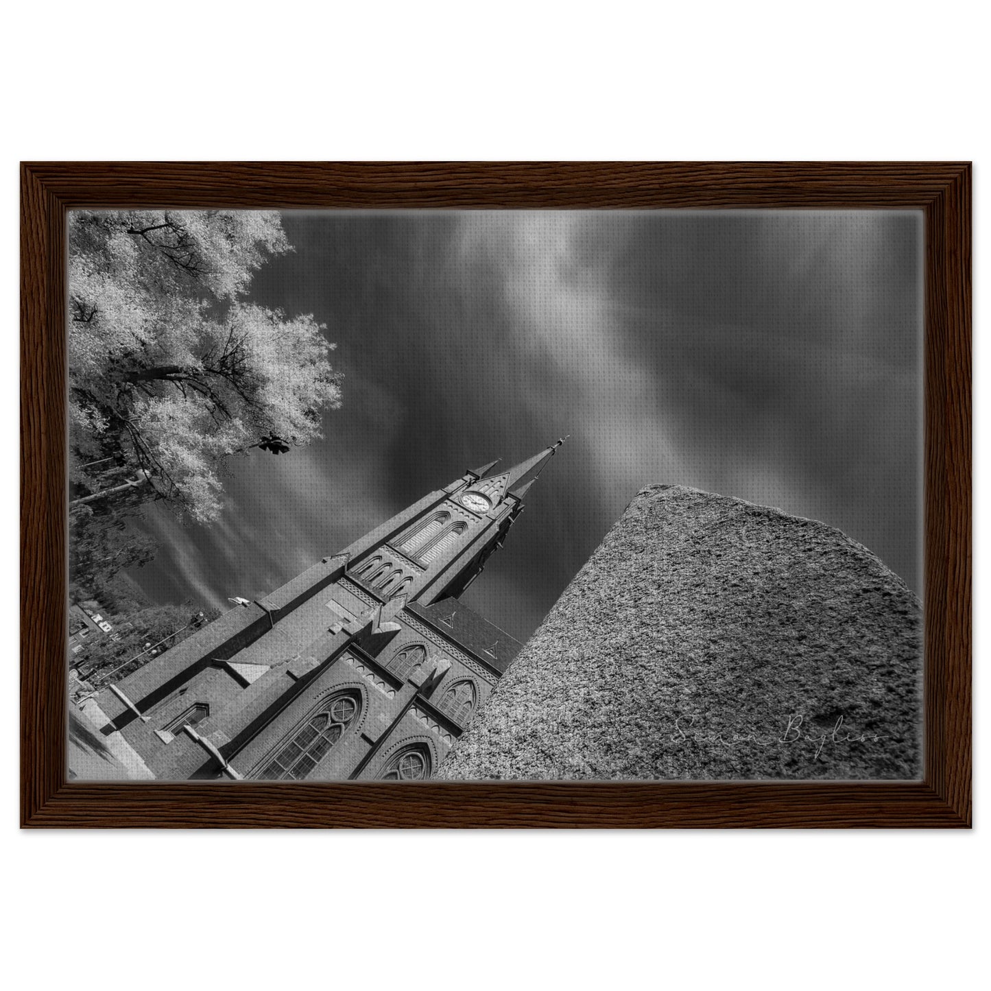 91c2589c-3235-4410-b7ce-544942b9a861