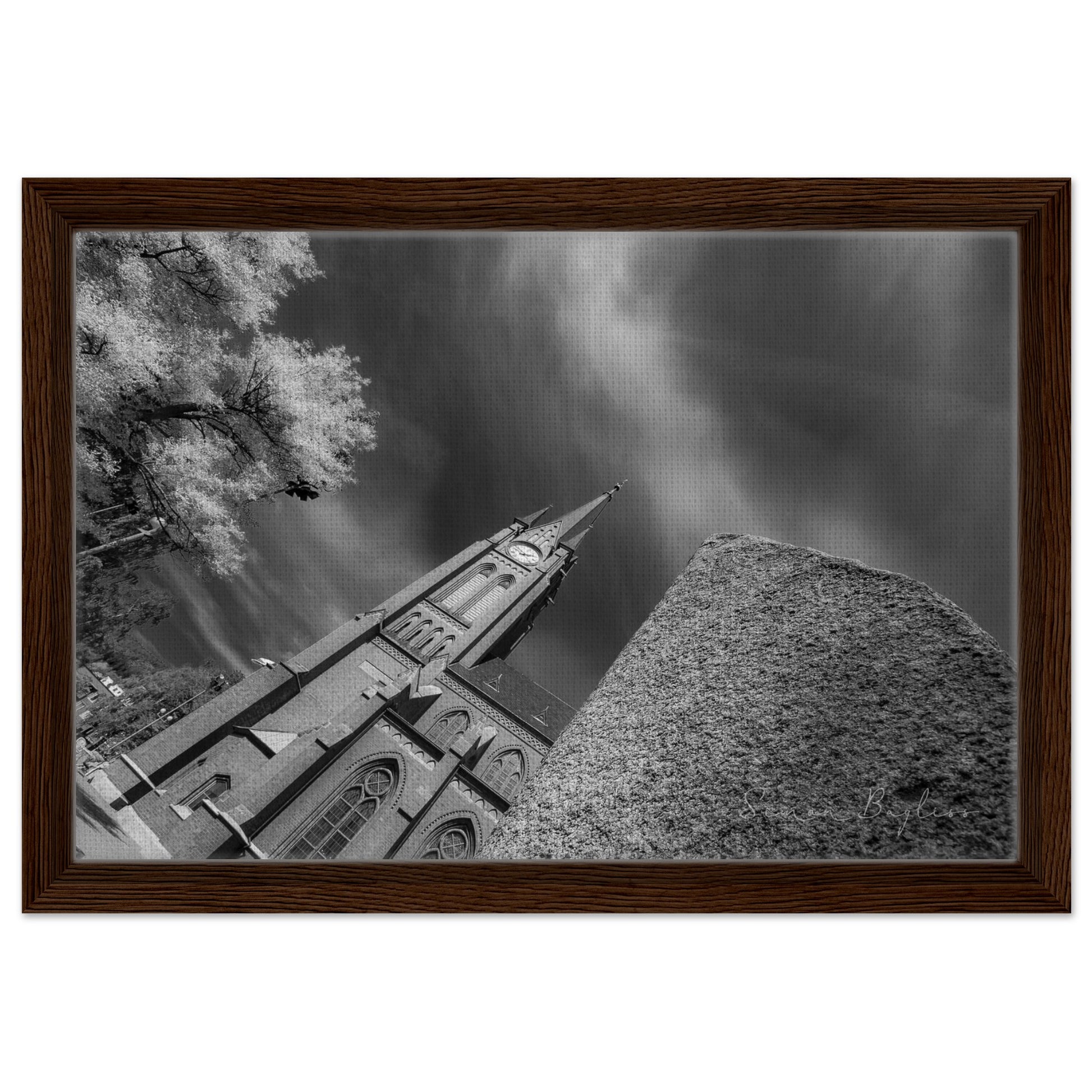 91c2589c-3235-4410-b7ce-544942b9a861