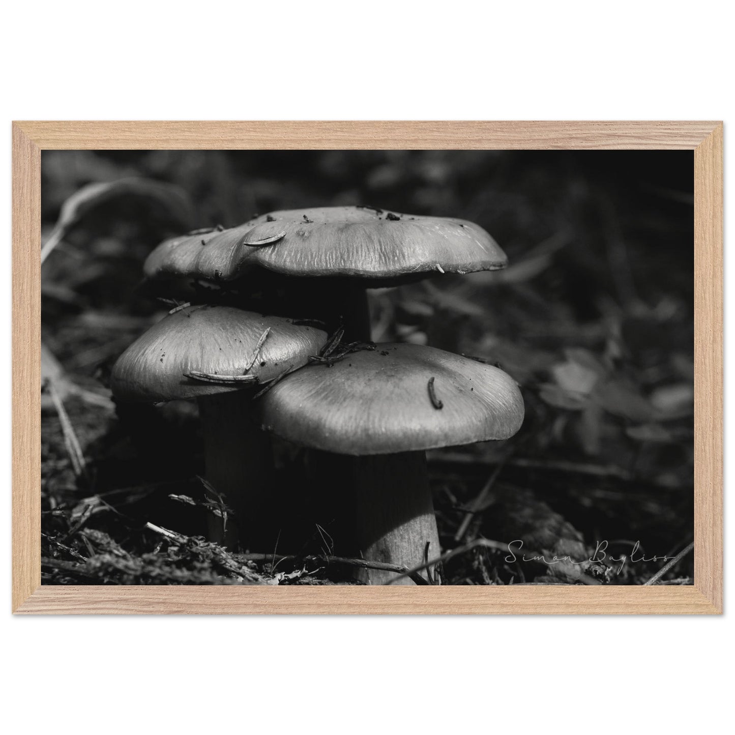 92473e35-51eb-4829-8858-a16628d0e832