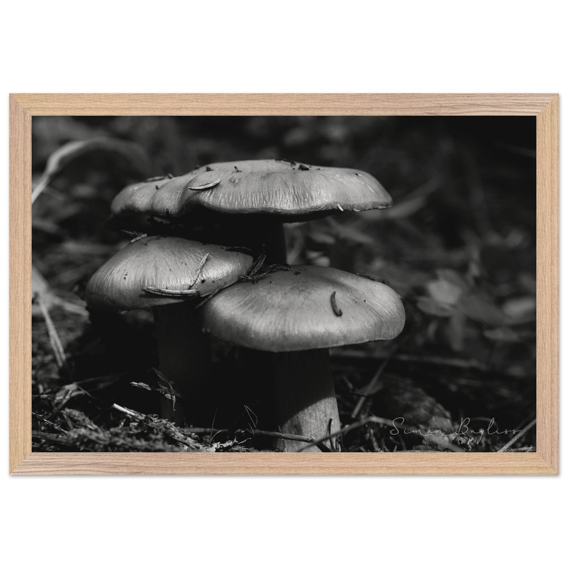 92473e35-51eb-4829-8858-a16628d0e832