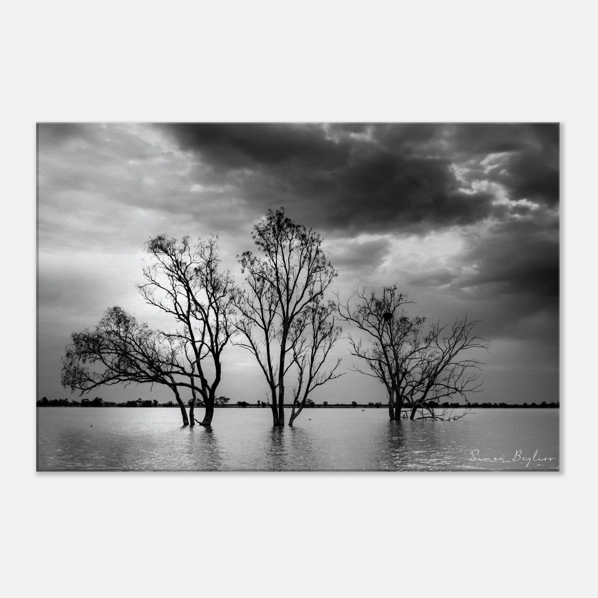 928b061f-03d0-4dae-8e6b-2863fb361d66