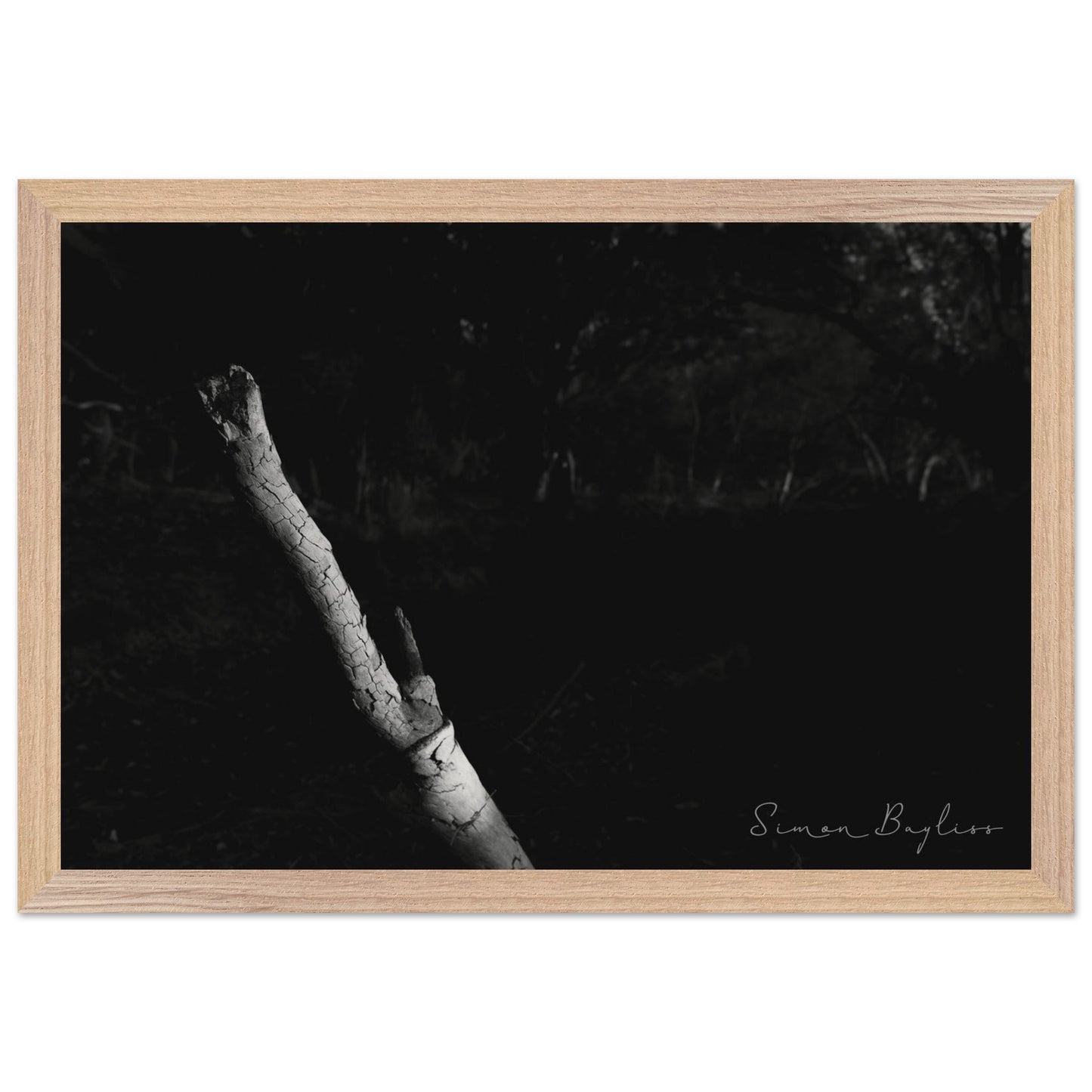 92c9104f-39e4-4664-9fb7-9d741a94a547