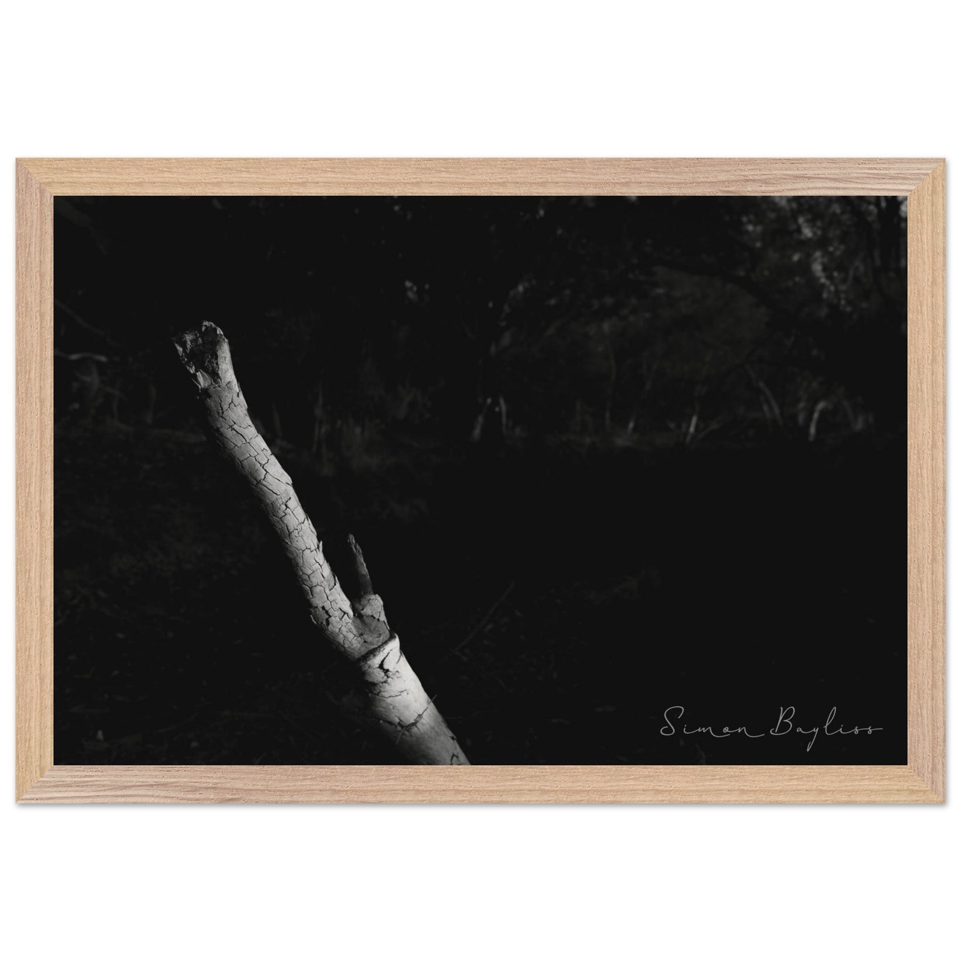 92c9104f-39e4-4664-9fb7-9d741a94a547