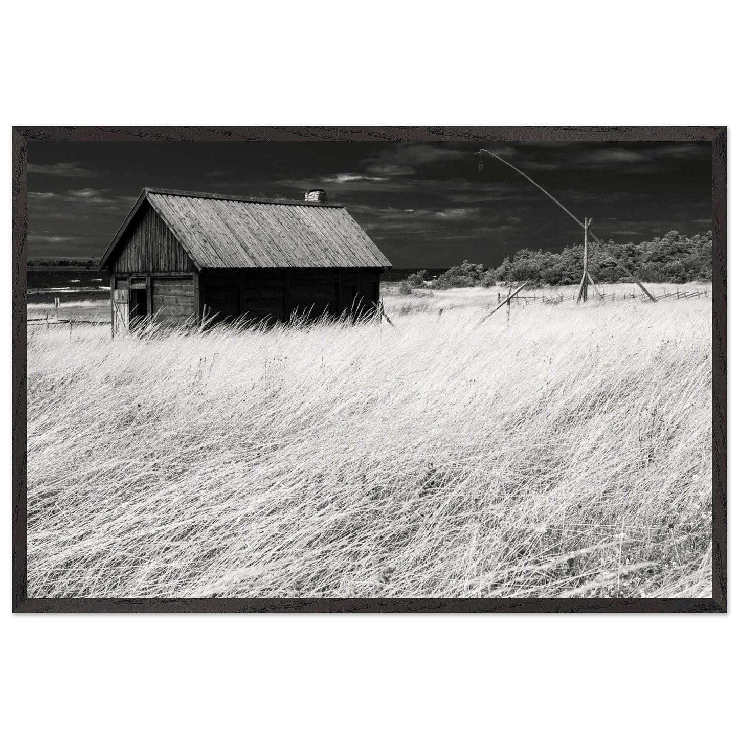 92cf0b42-a9b6-4a31-a7a0-851bc056d397