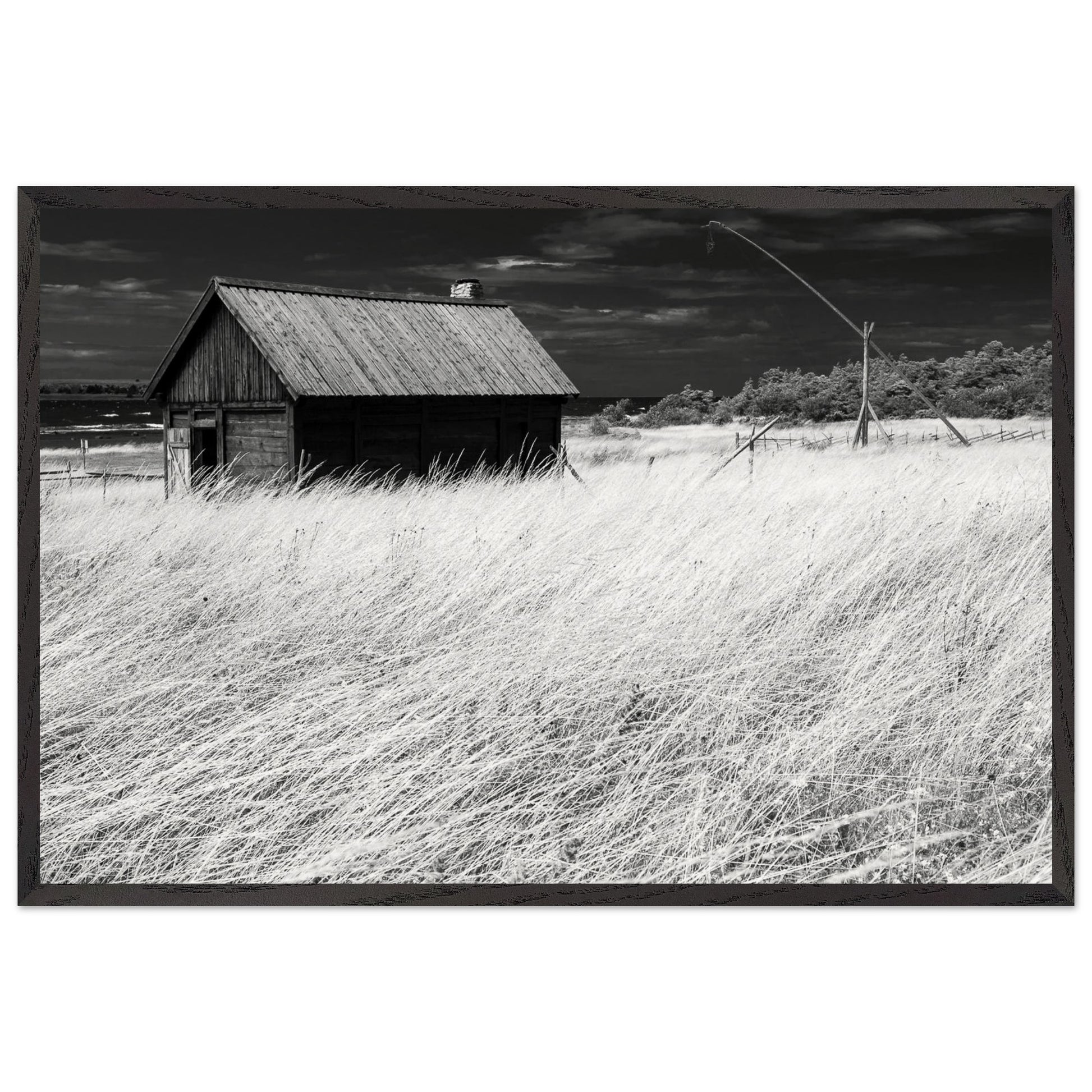 92cf0b42-a9b6-4a31-a7a0-851bc056d397