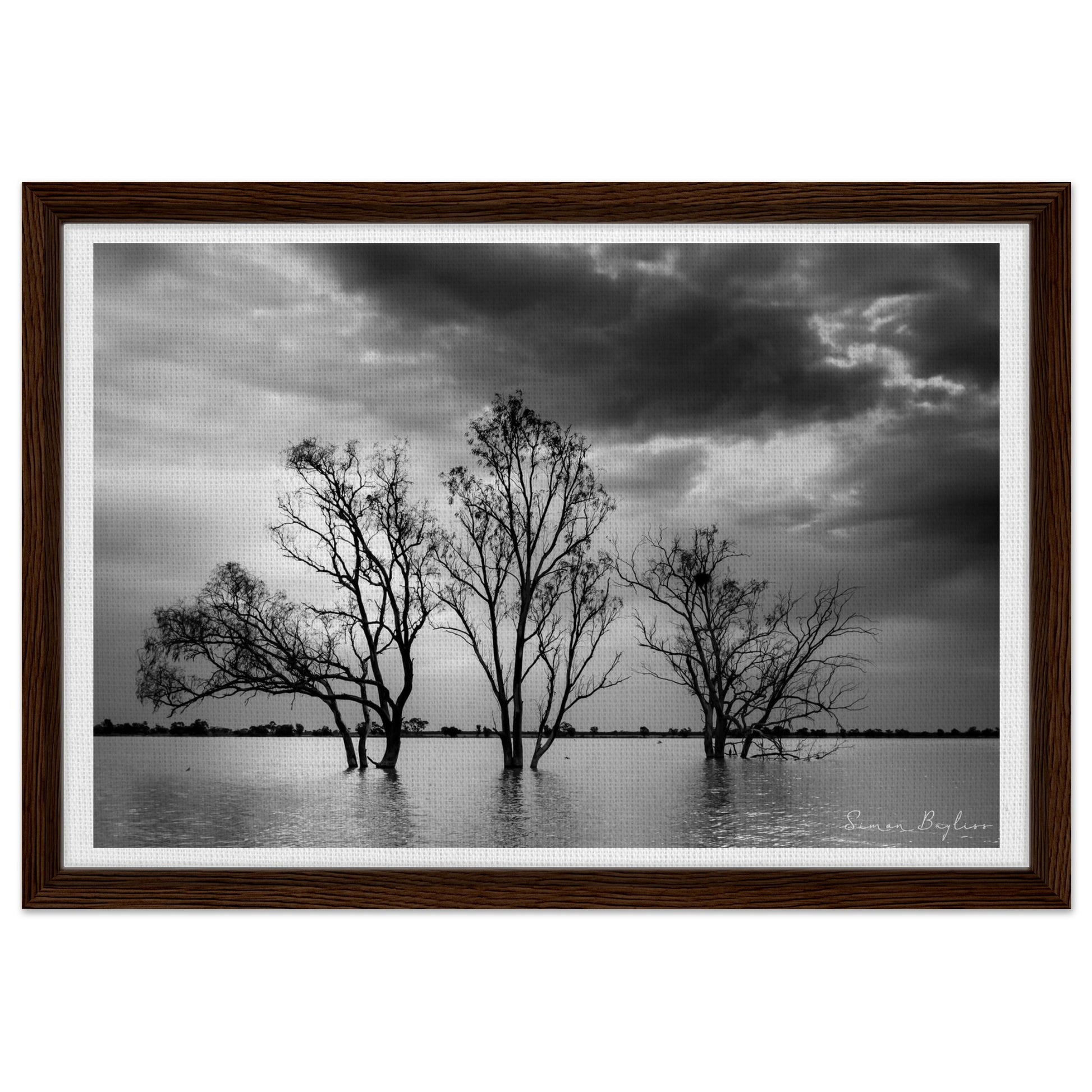 92df98be-0e43-429e-abf7-c579b8a1772f