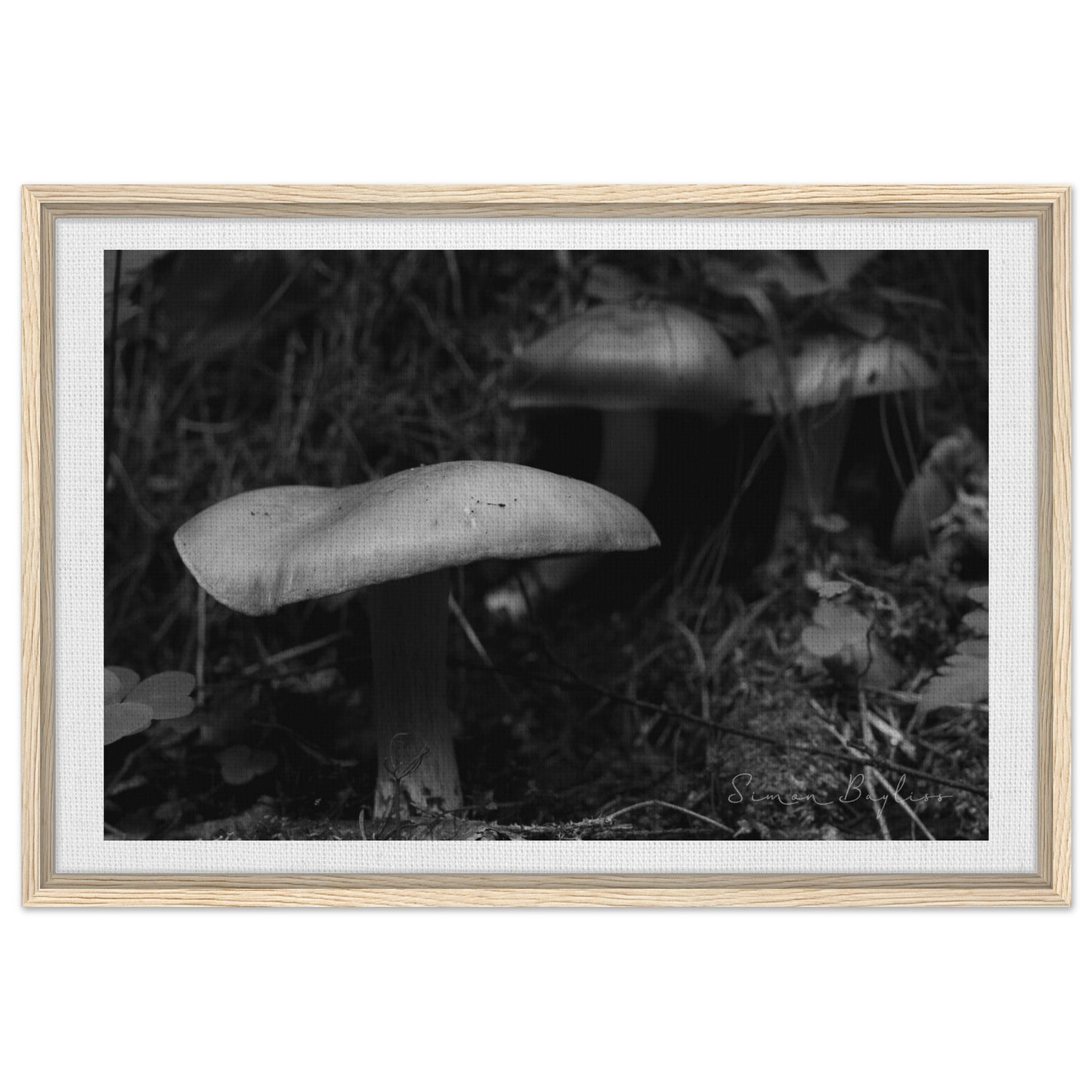 930f4618-fde3-4ab4-b8ca-664e88af9337