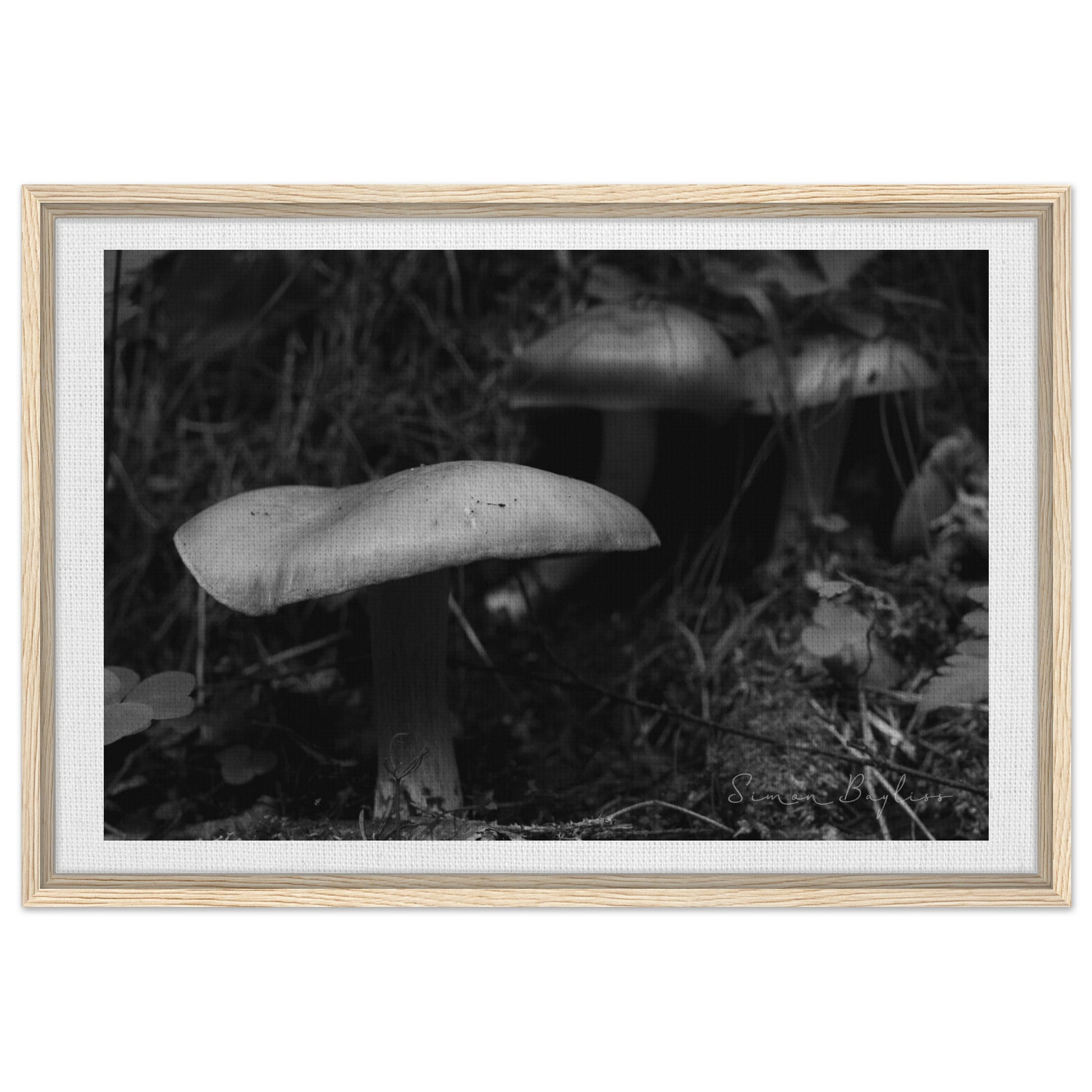 930f4618-fde3-4ab4-b8ca-664e88af9337