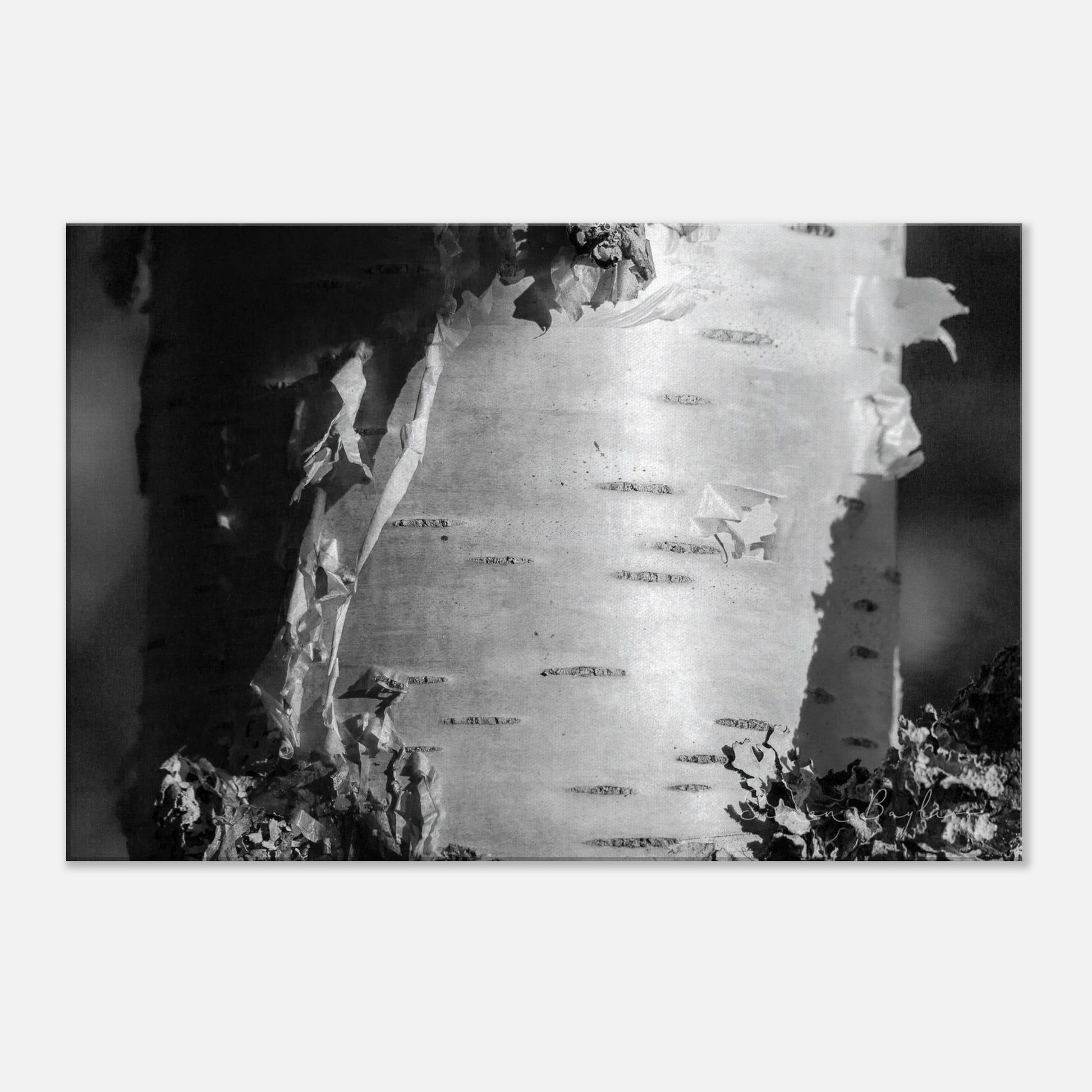 9321379c-e73a-4ae4-b899-c1bcd30b0489