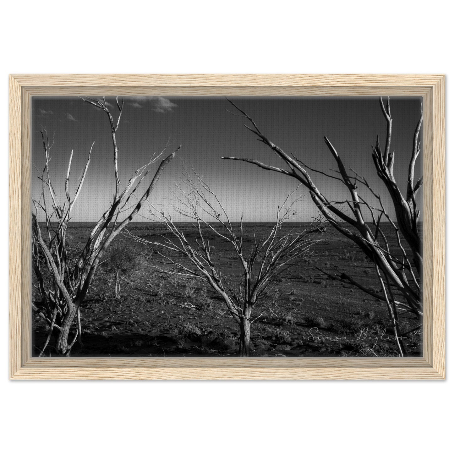 9343bfed-5891-4f3a-923b-3f7626d79795