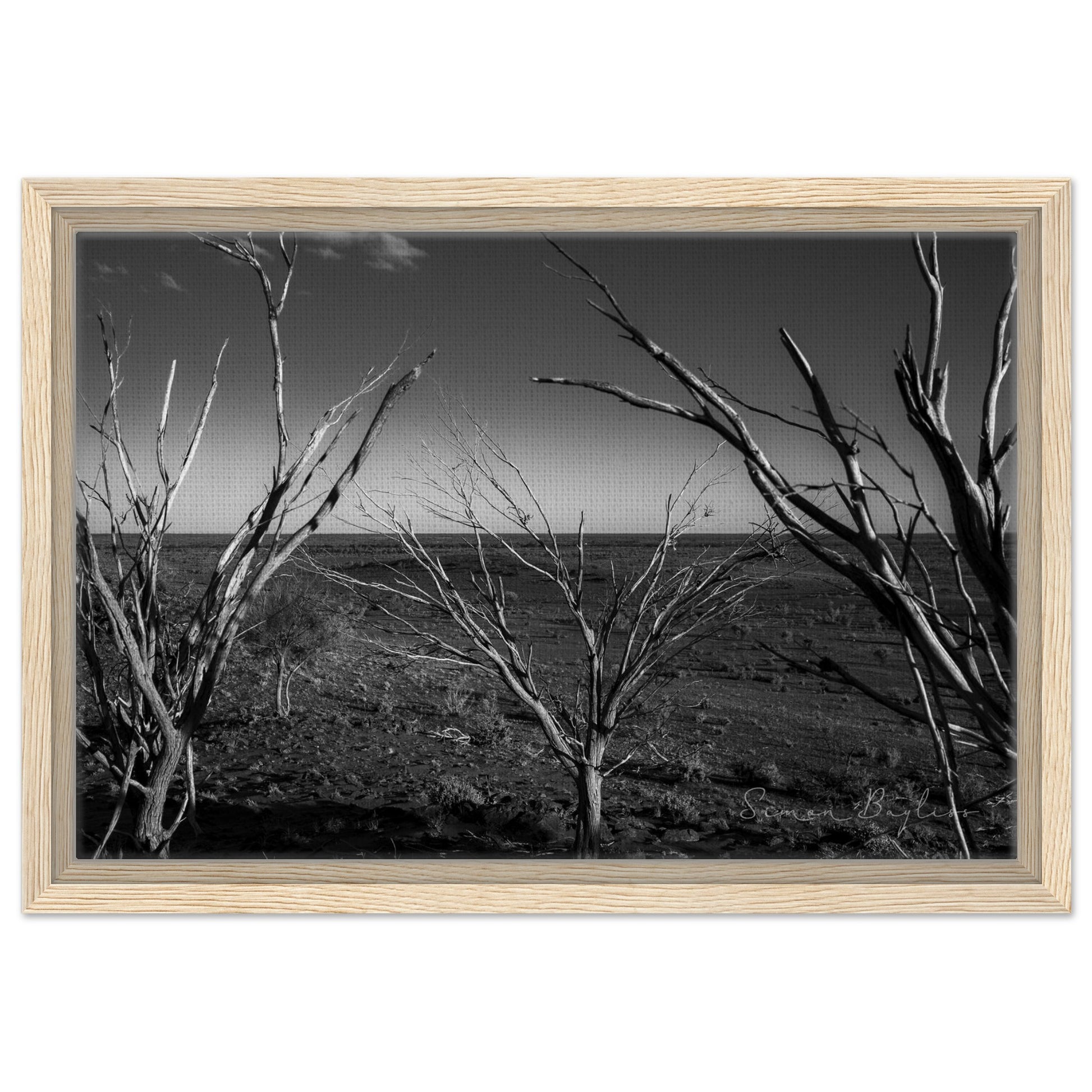 9343bfed-5891-4f3a-923b-3f7626d79795