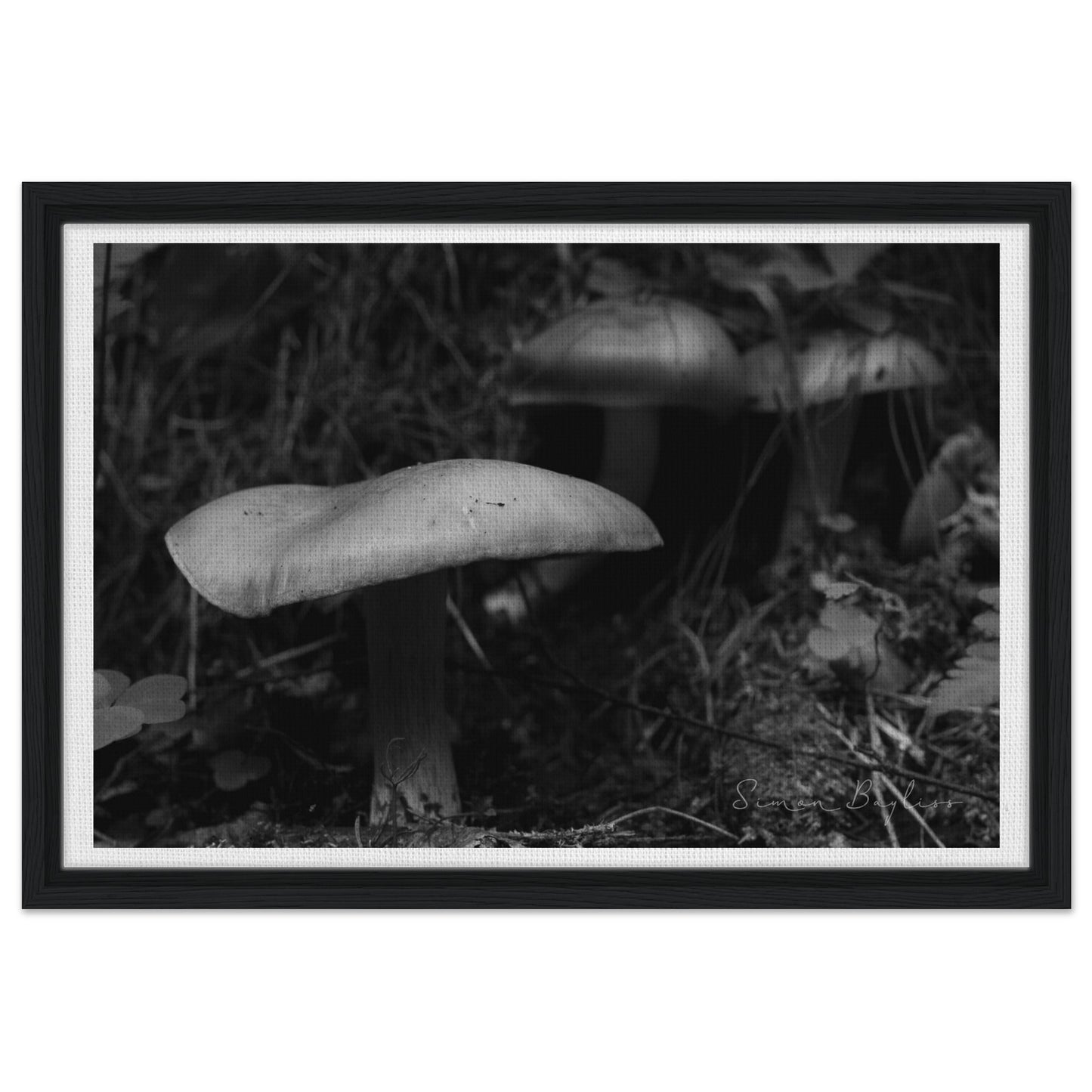 93a16cb2-ff7f-4314-9fbf-269c7f385964