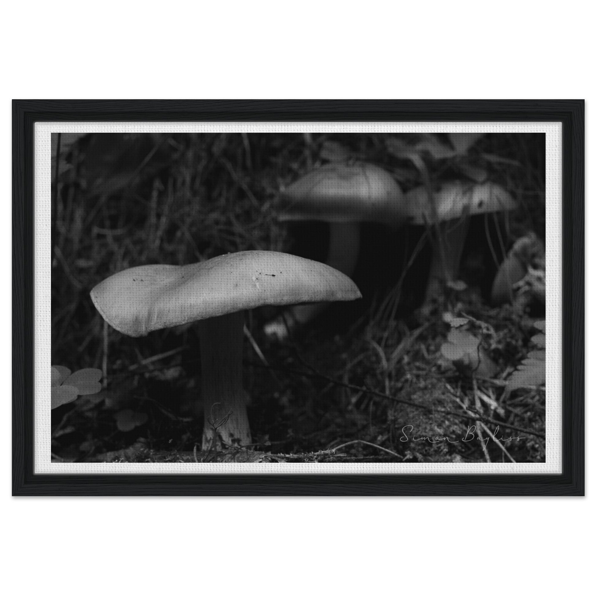 93a16cb2-ff7f-4314-9fbf-269c7f385964