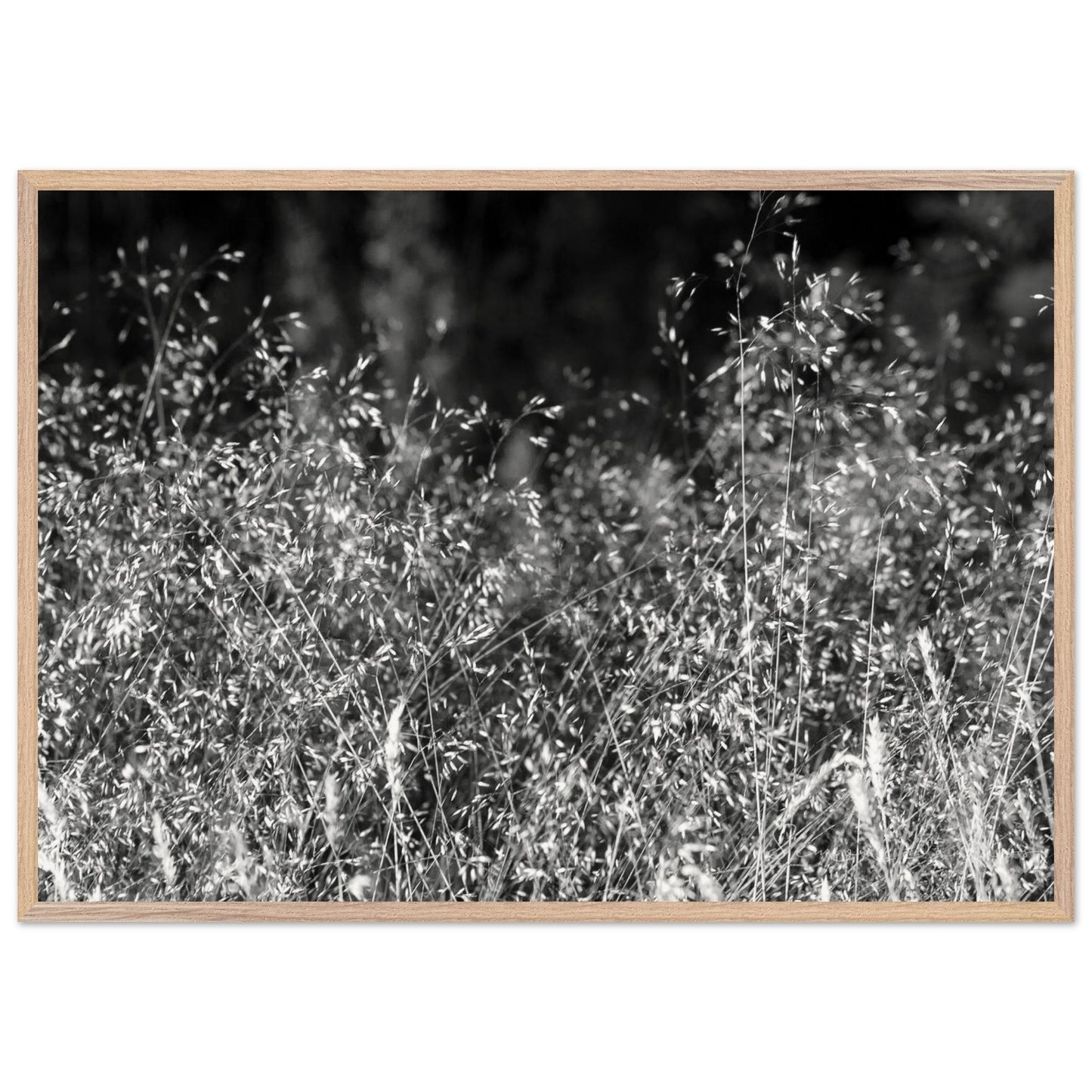 93b269e2-bc01-411f-9c52-fdb2093df201