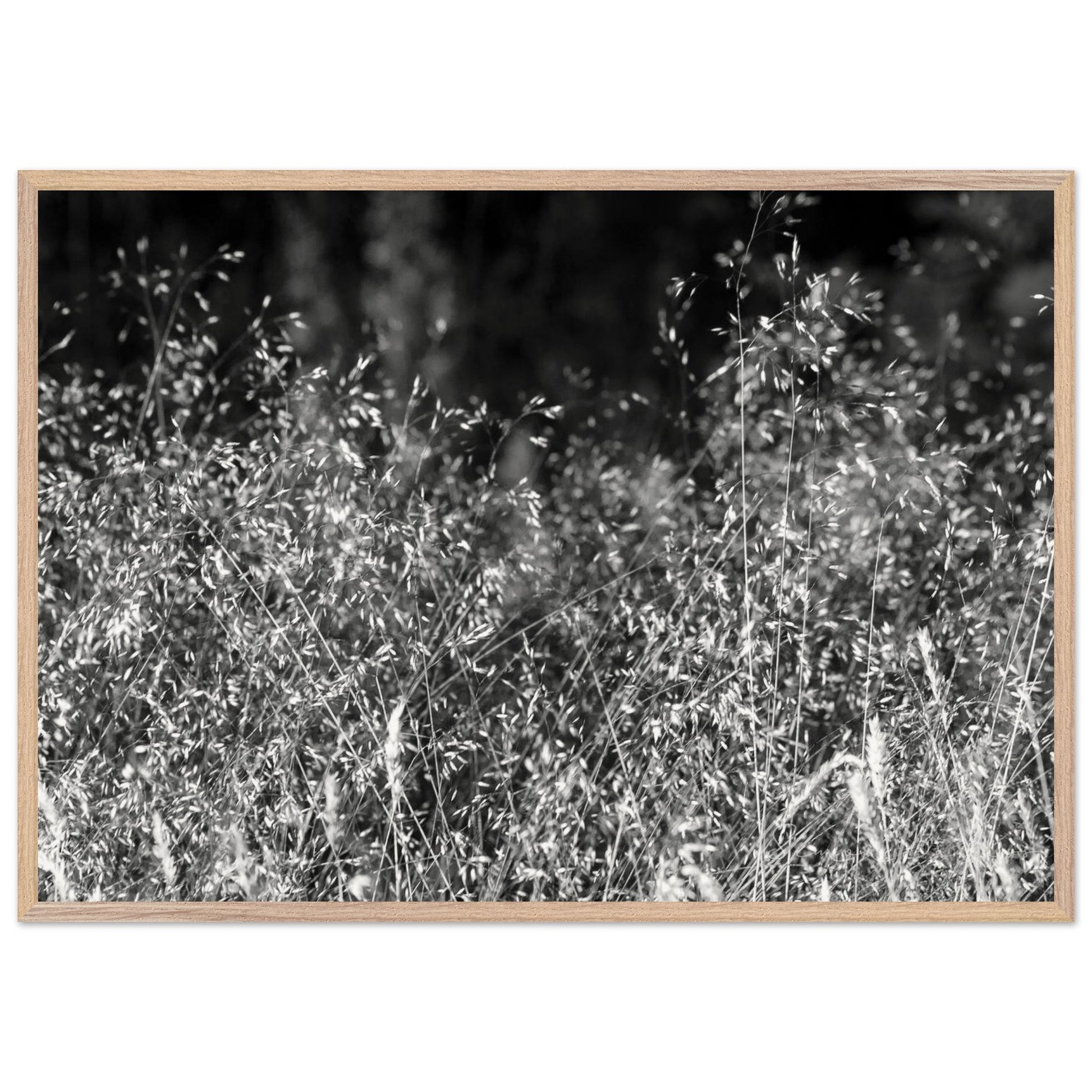 93b269e2-bc01-411f-9c52-fdb2093df201