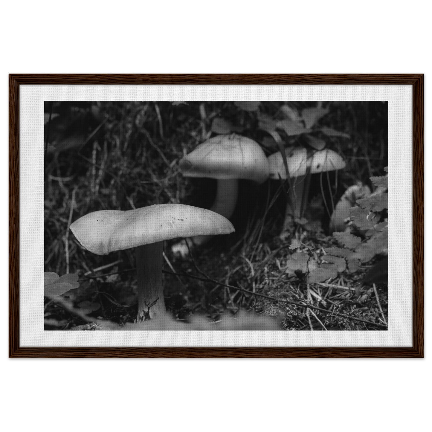 93dde9f7-543c-4eb8-b67e-9afac107e0e2