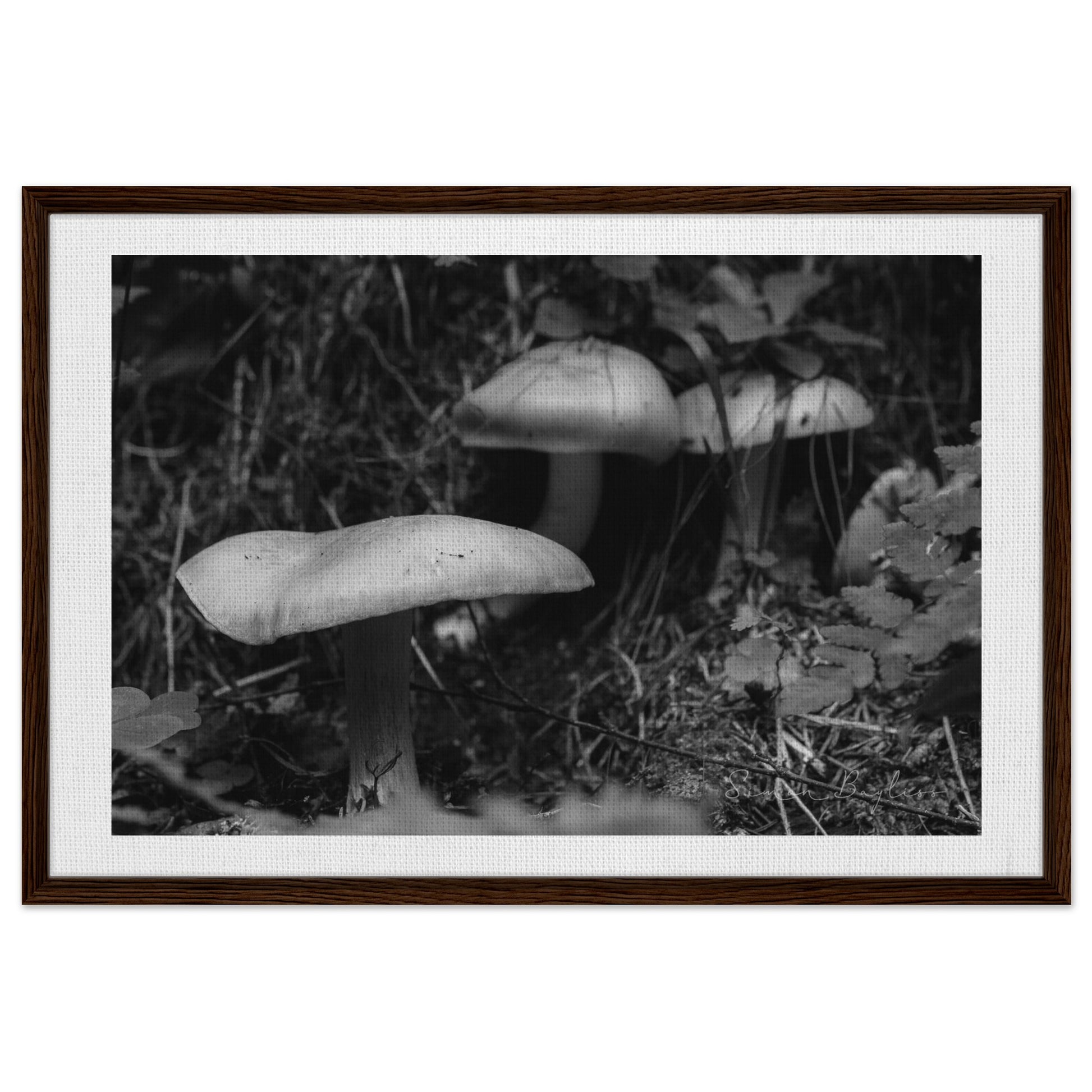 93dde9f7-543c-4eb8-b67e-9afac107e0e2