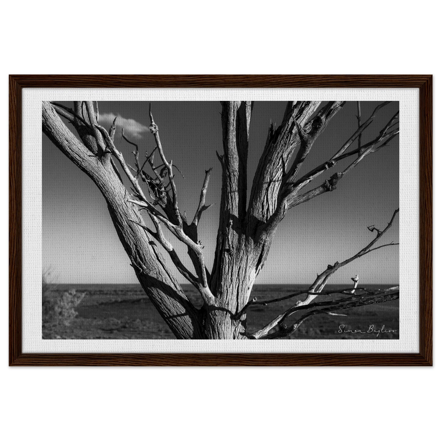 93e0abd2-aa9c-40e8-933e-05ab50ae3bbf