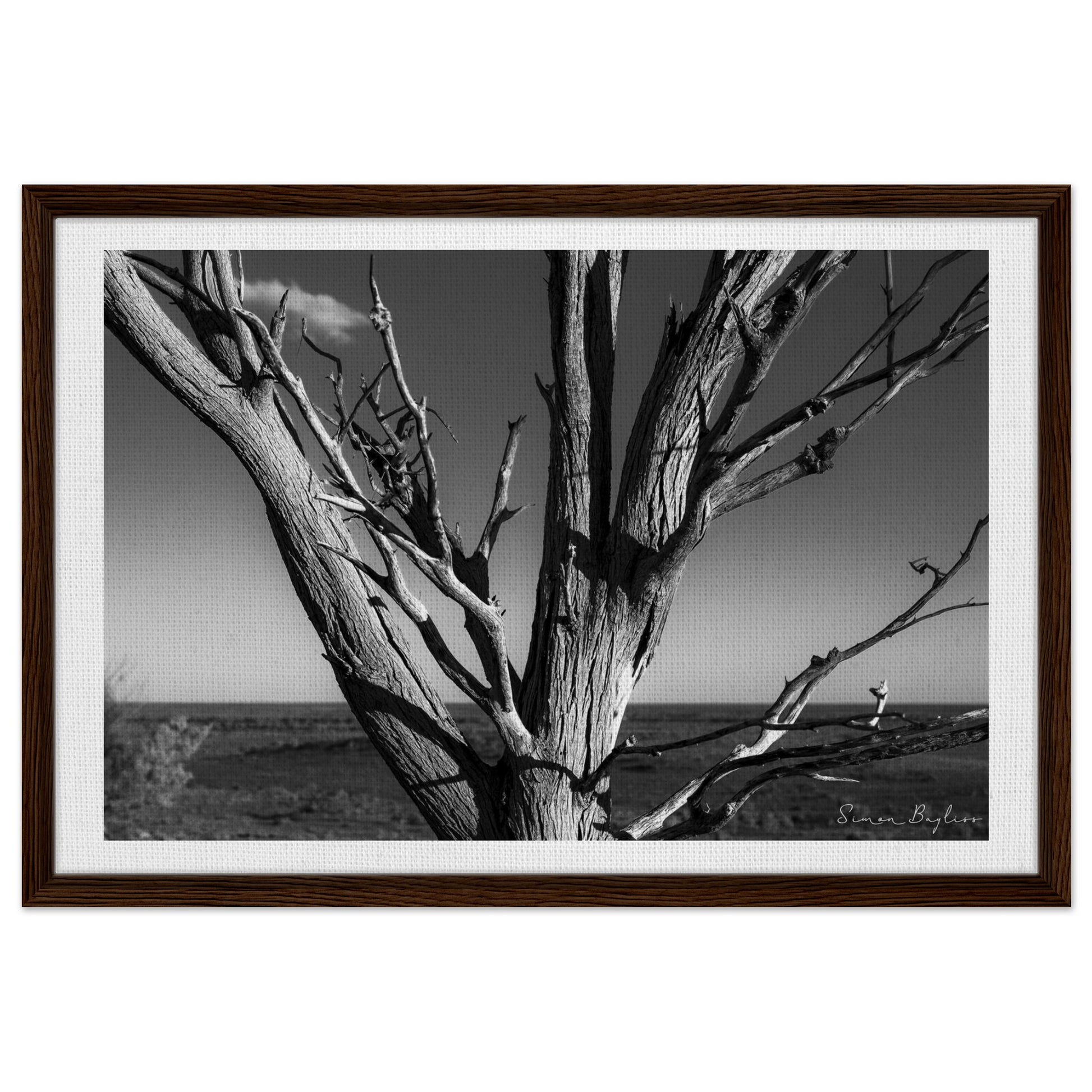 93e0abd2-aa9c-40e8-933e-05ab50ae3bbf