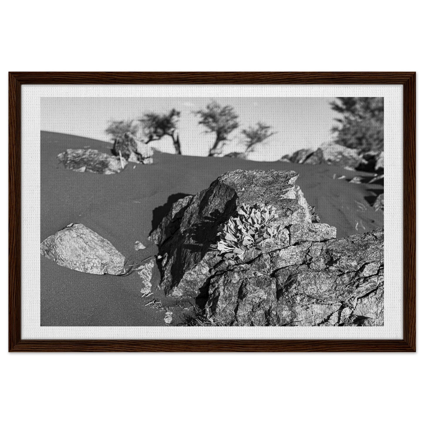 949205ea-aa85-4898-93c6-b41ee2b59051