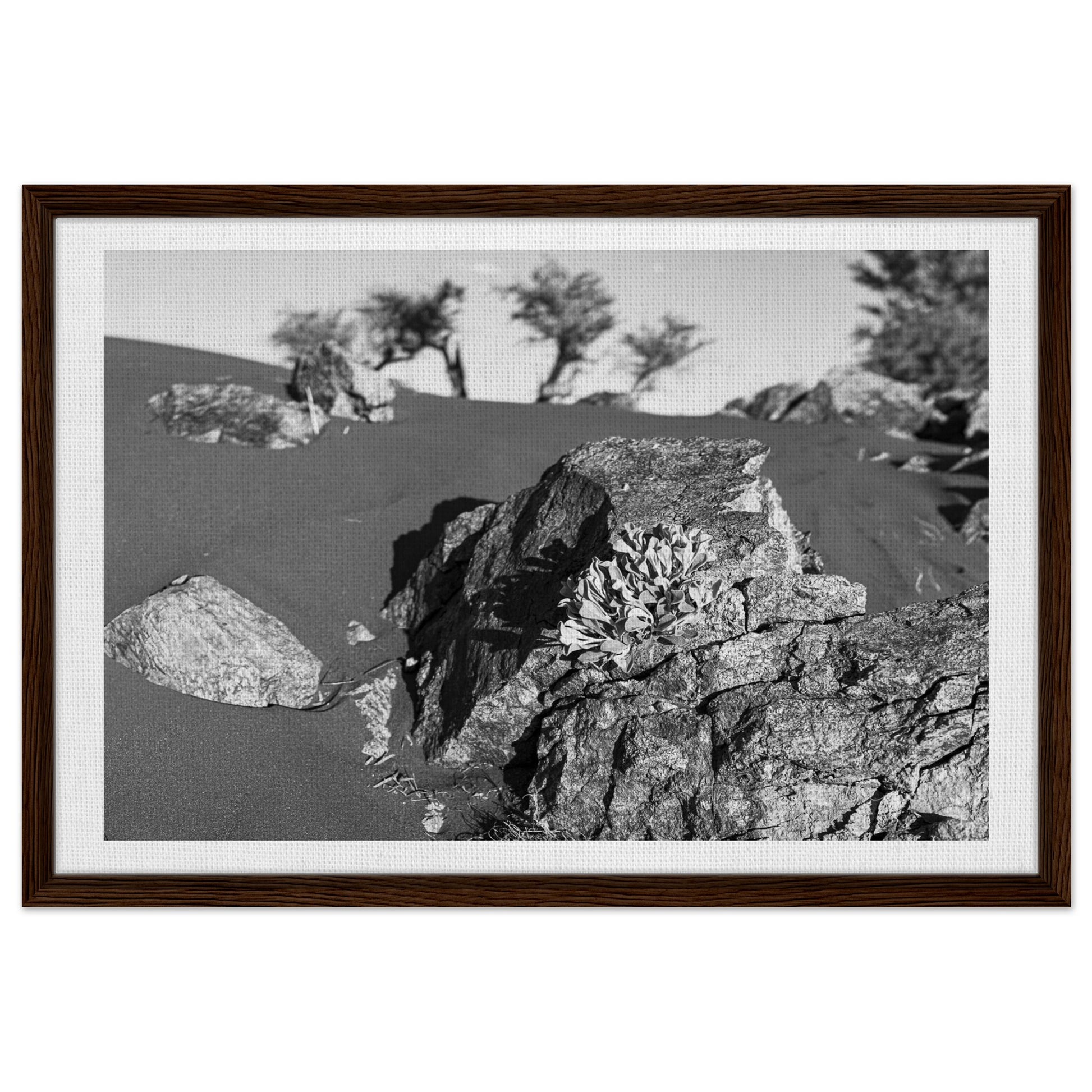 949205ea-aa85-4898-93c6-b41ee2b59051