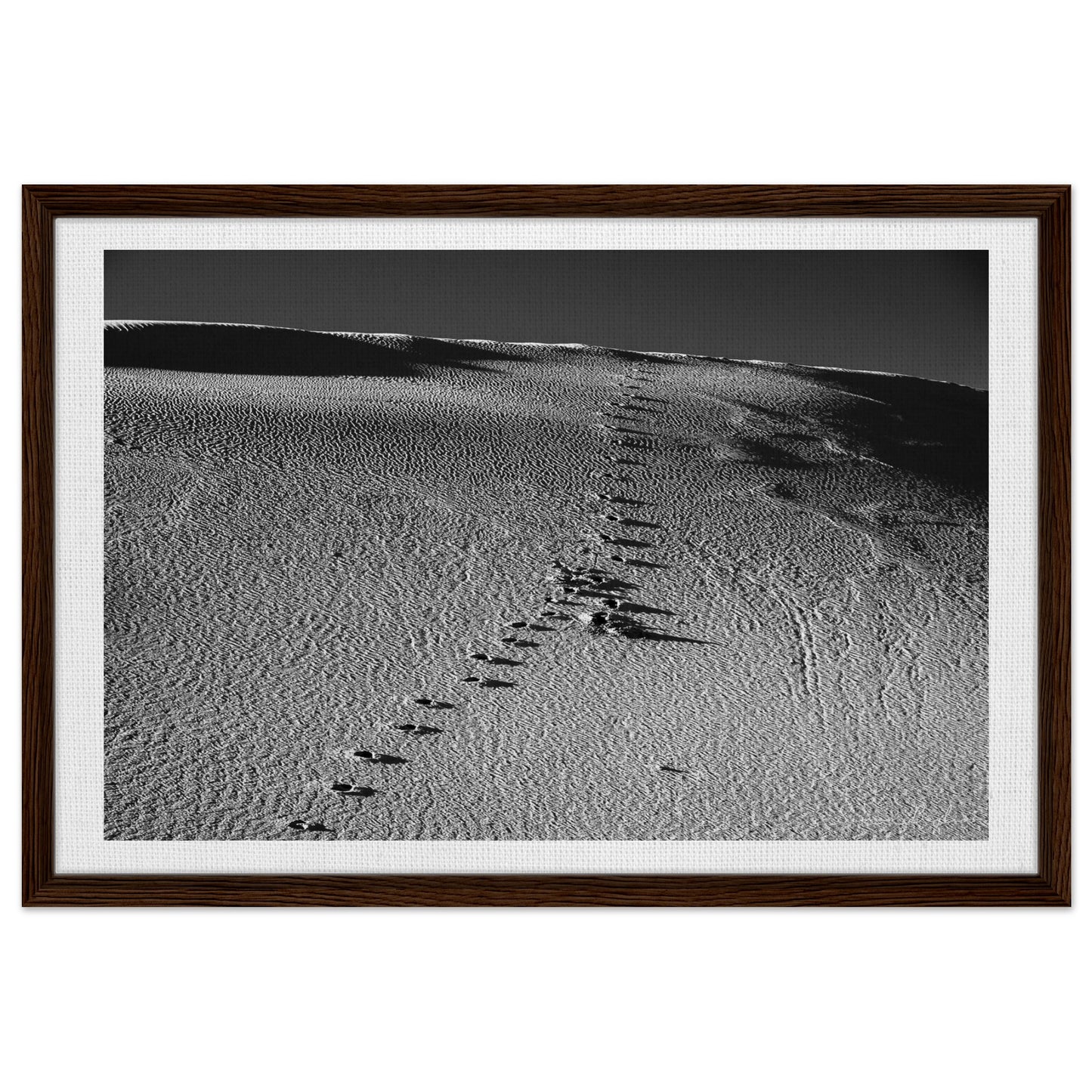 94ae85c4-25c0-4971-9690-171385c36e8b