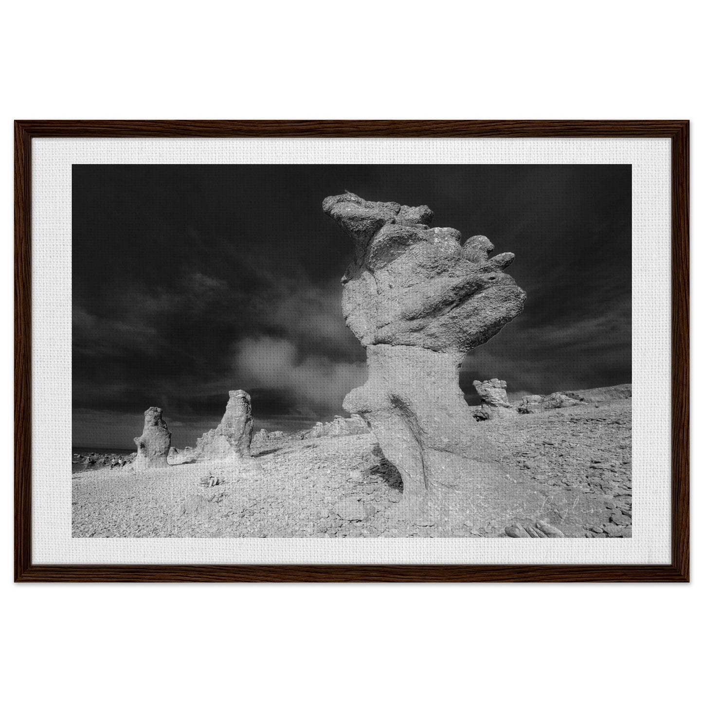 951464e3-3ef6-493b-ae29-66a09a8c031d