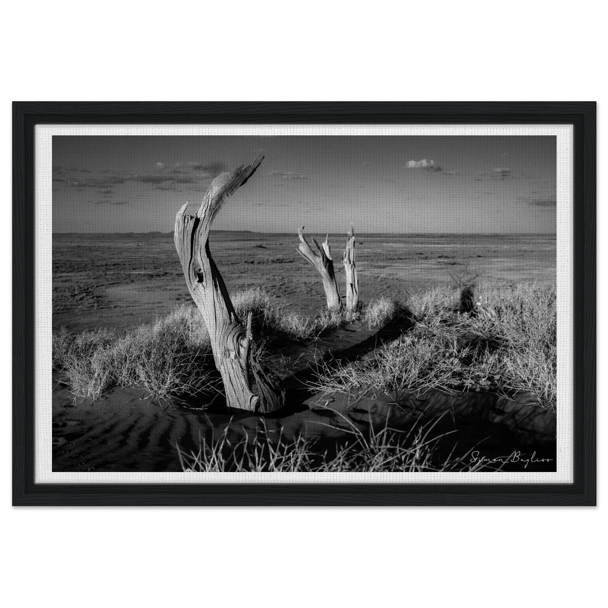 958b674b-c177-42e8-b2bb-7168458b95ae