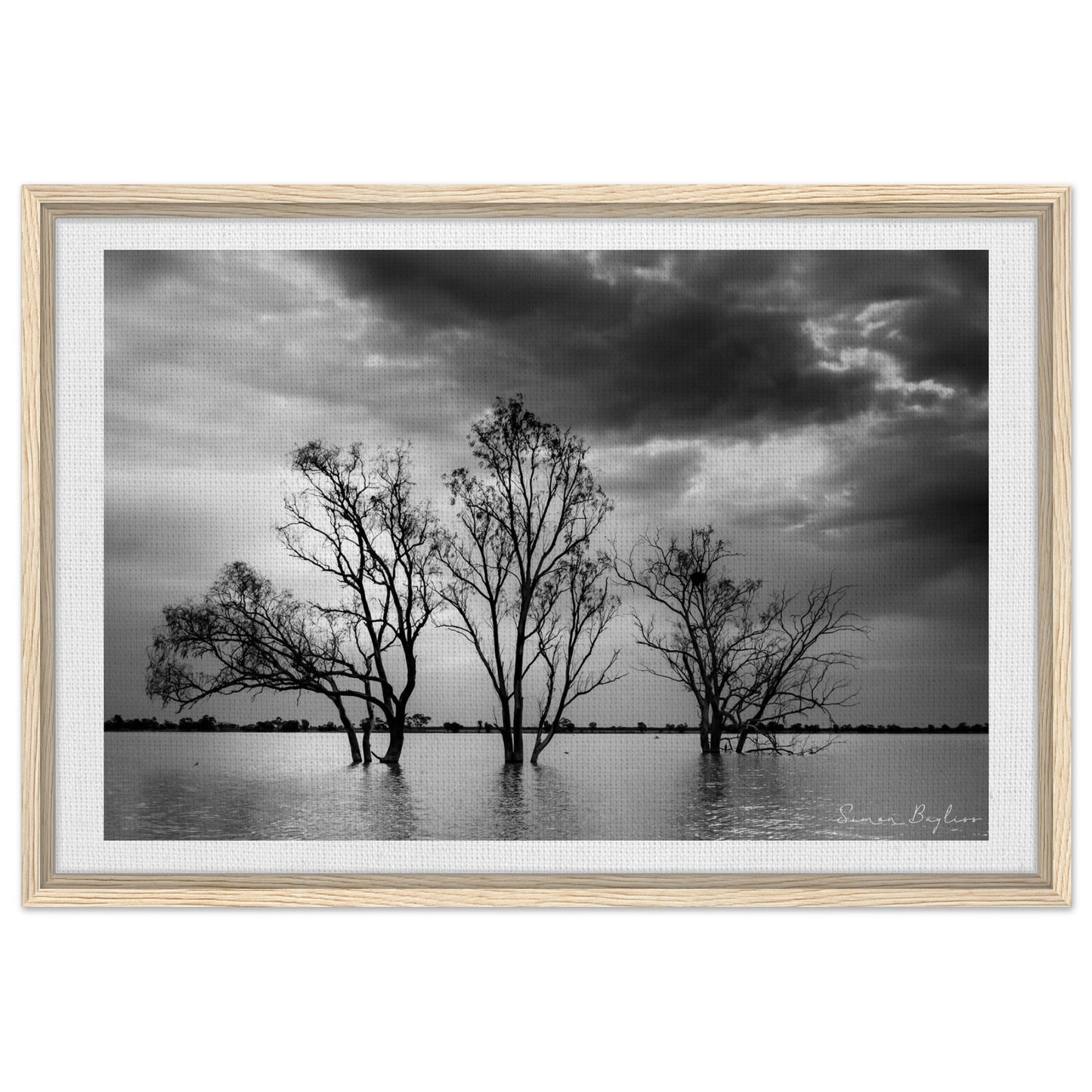 95b09b4c-de20-4830-88fb-44120926191a