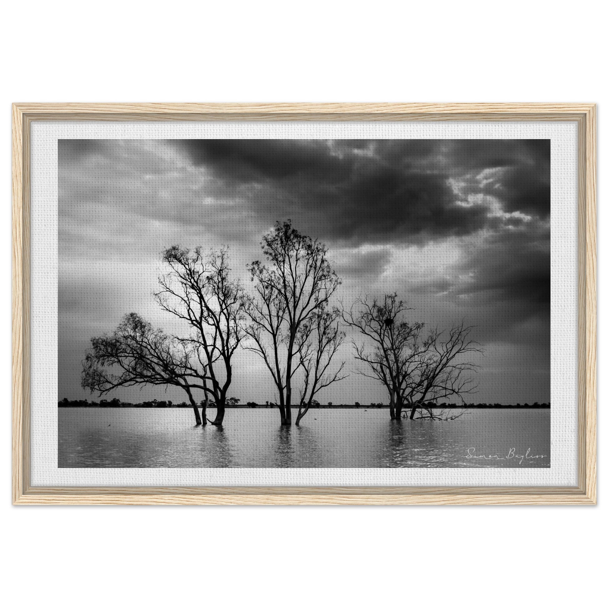 95b09b4c-de20-4830-88fb-44120926191a