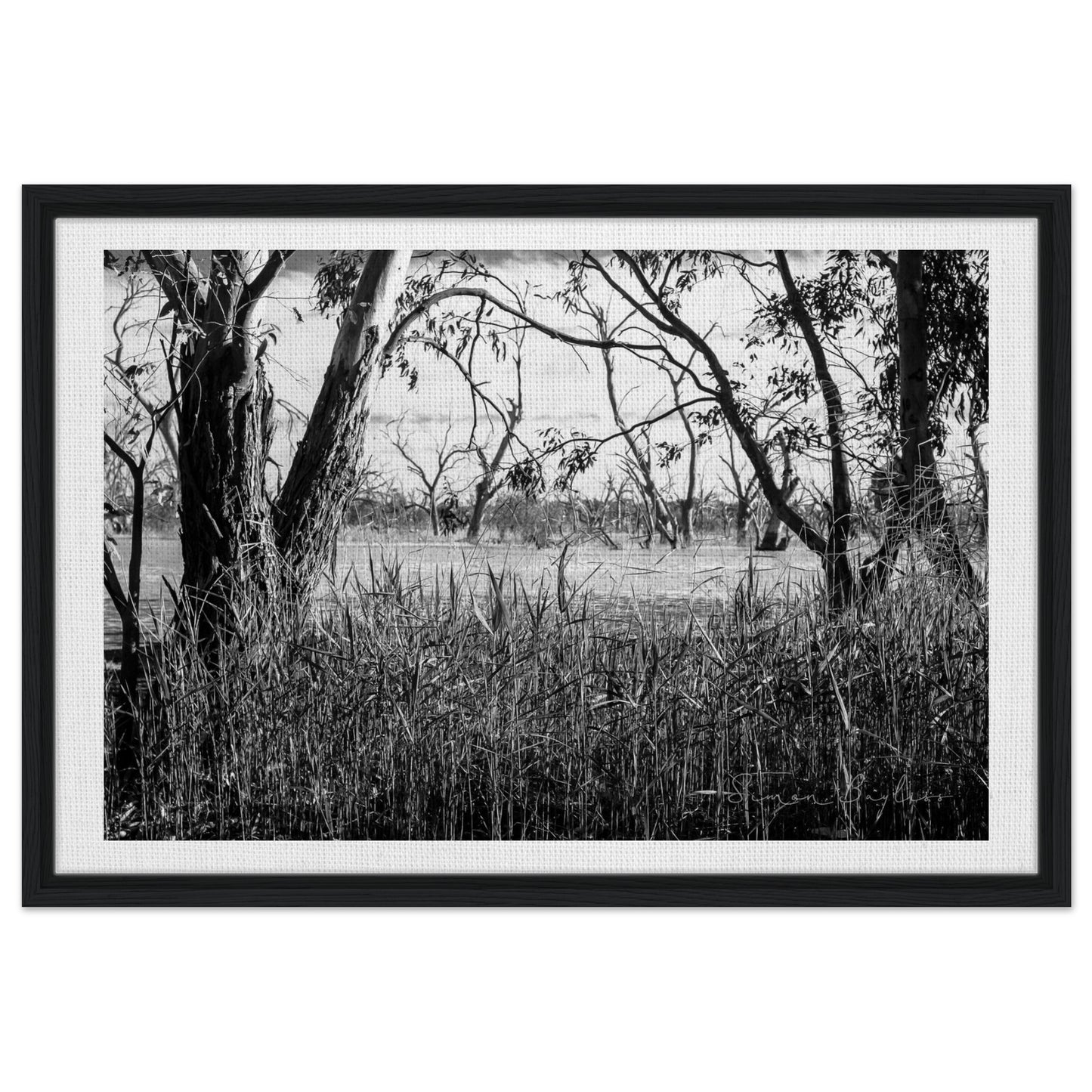 96fedca6-9ef4-4cf0-aea0-04341767ace8