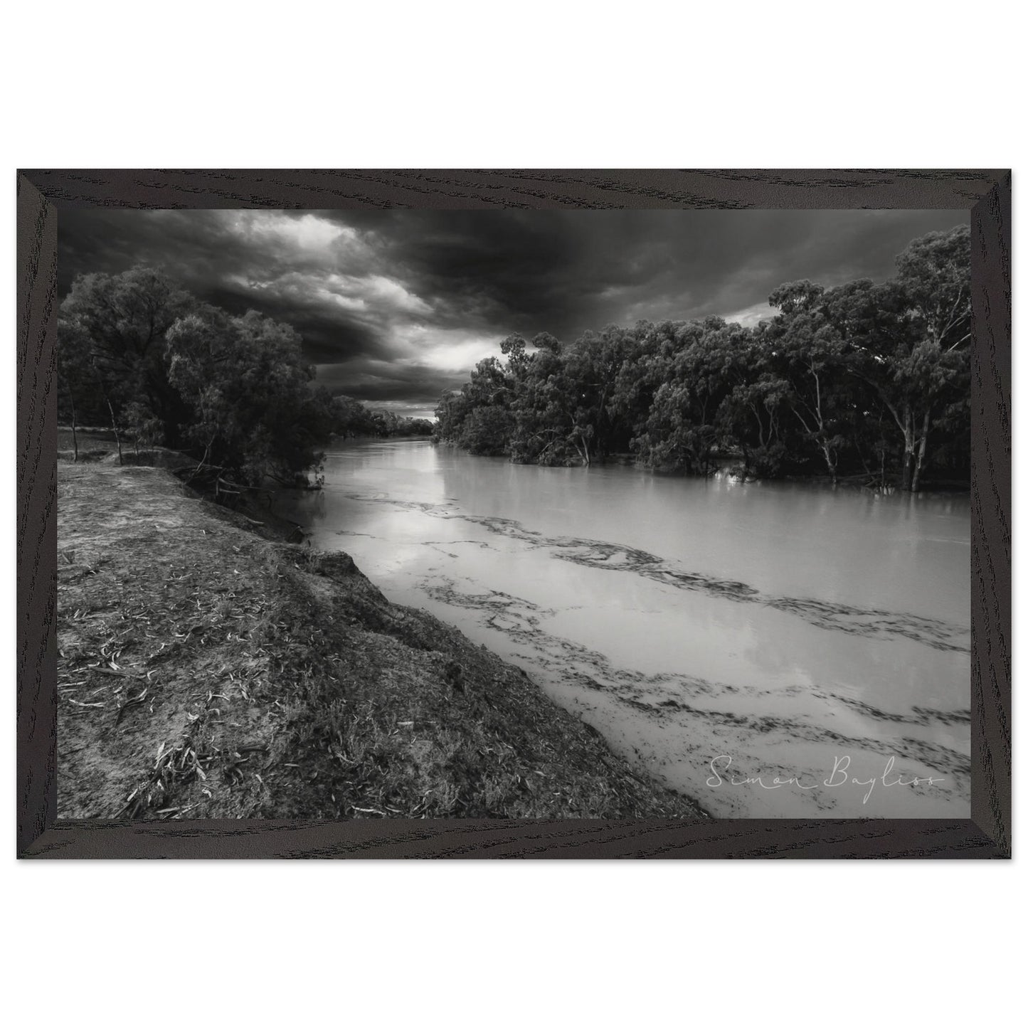 972398f0-e520-4ed5-bfeb-eb77c9bba593