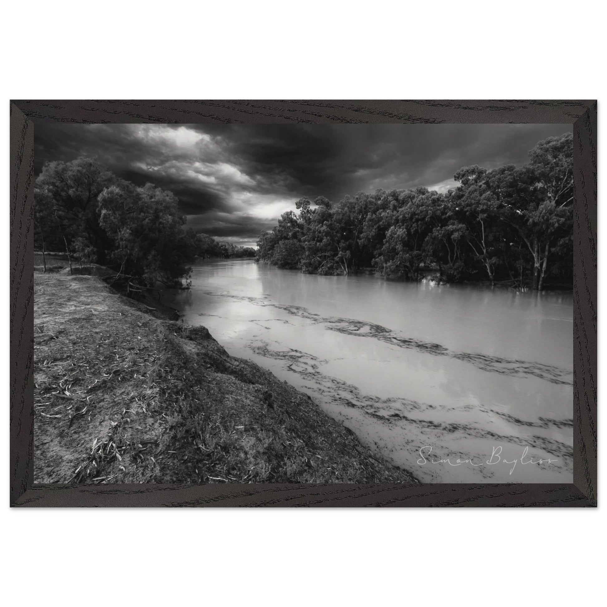 972398f0-e520-4ed5-bfeb-eb77c9bba593