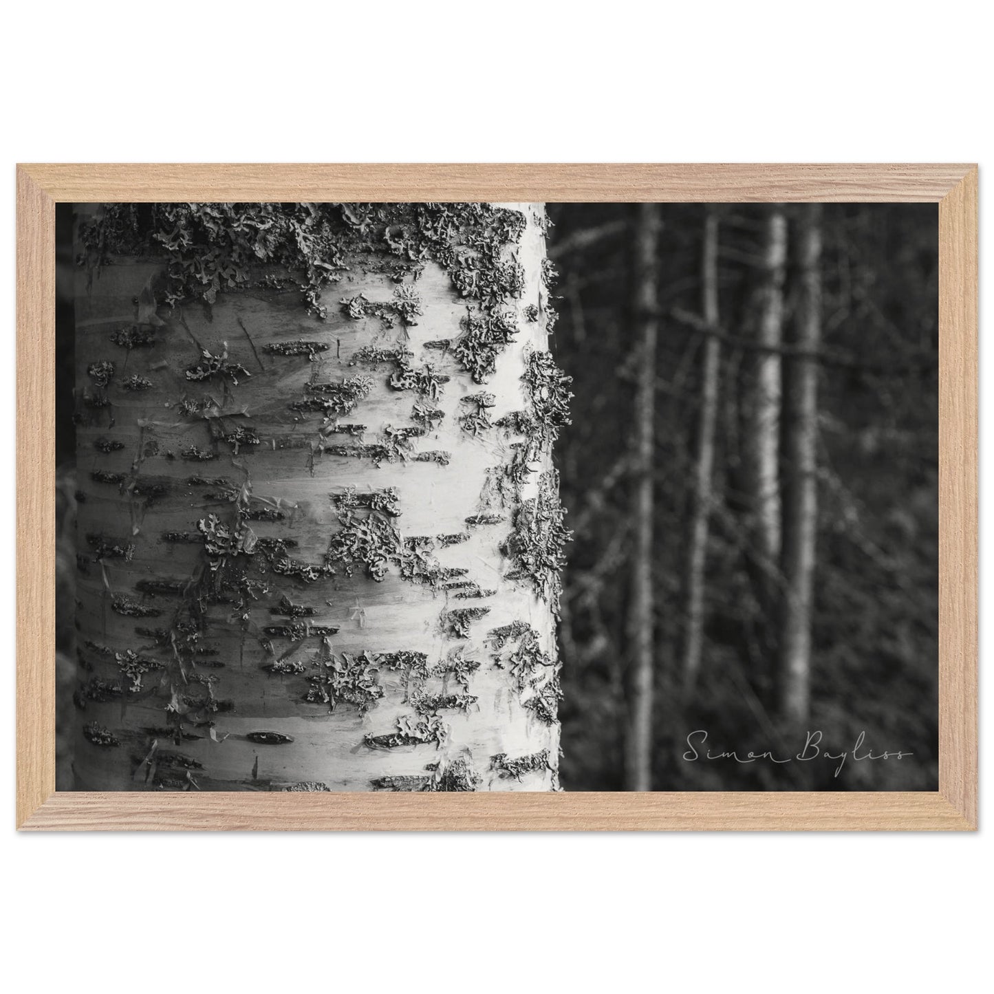 973ff2b6-7428-4bcd-89d4-835e81fdb561