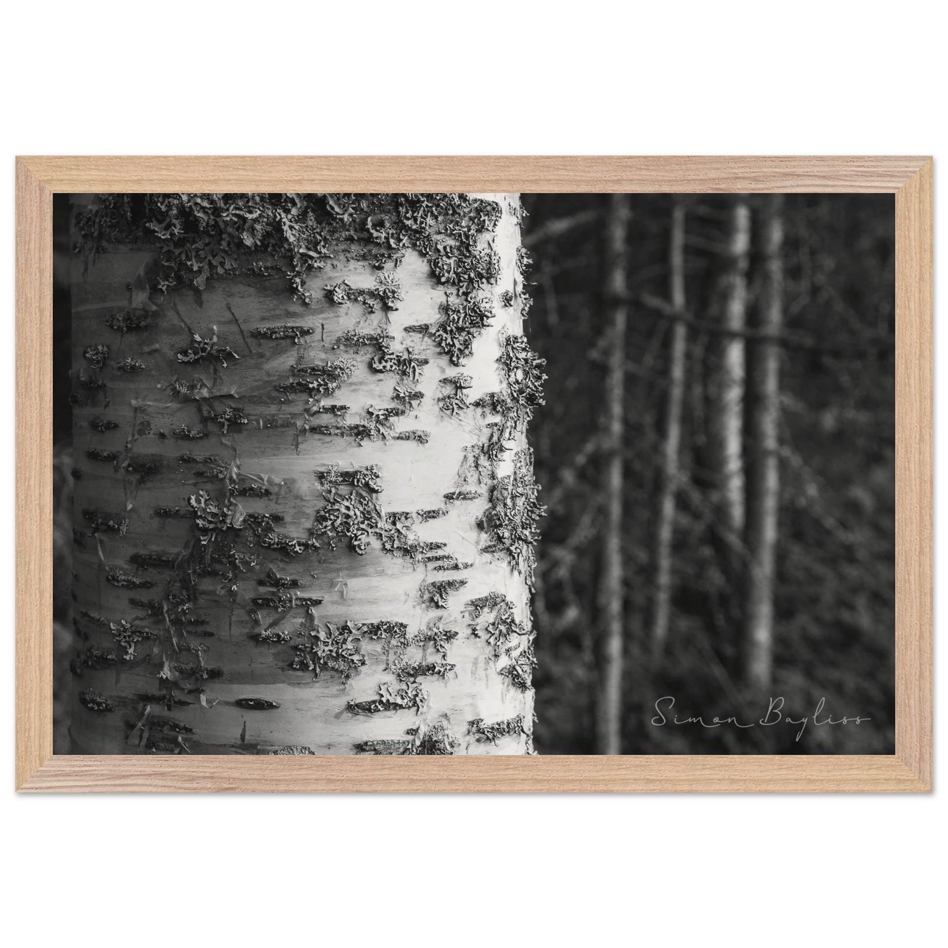 973ff2b6-7428-4bcd-89d4-835e81fdb561