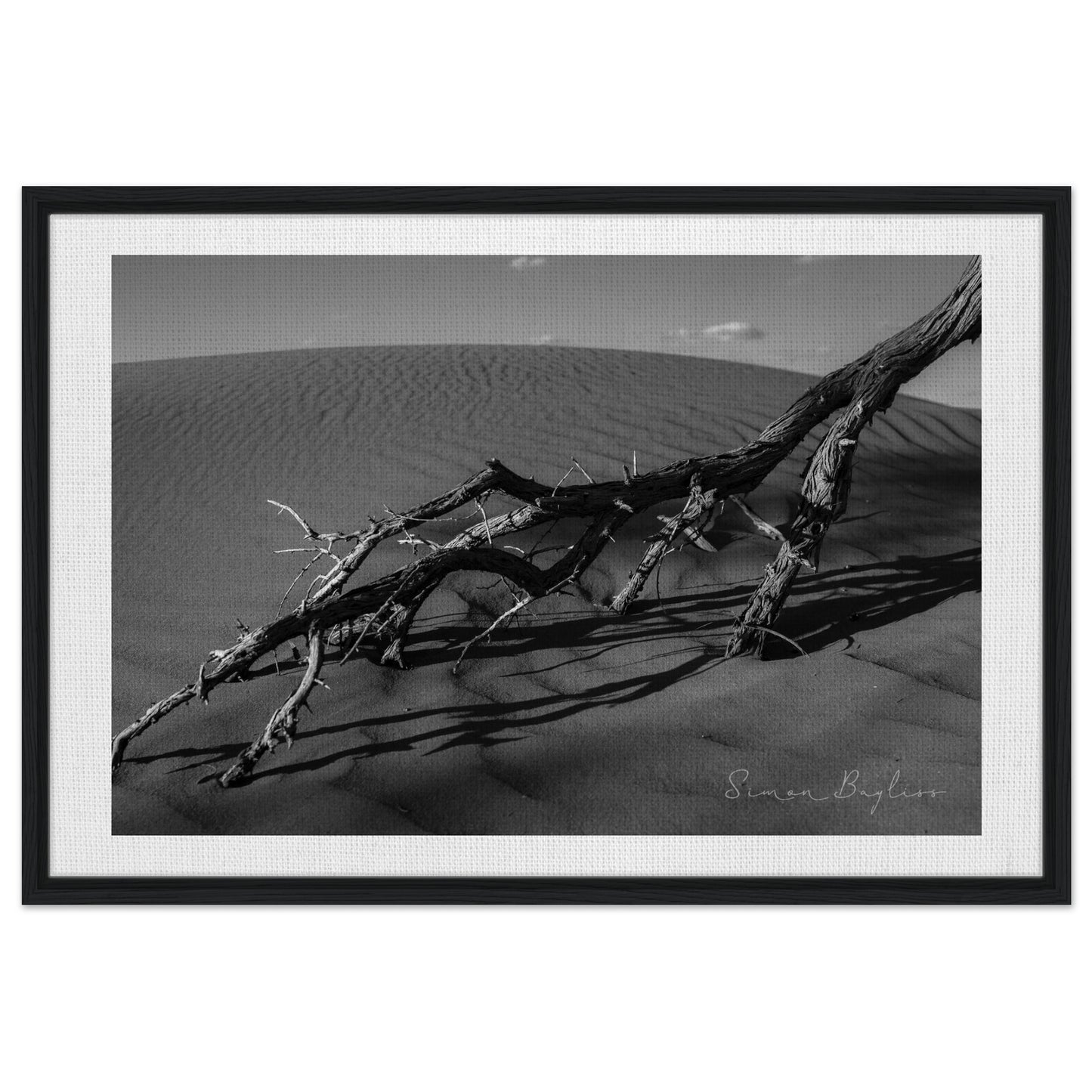 975ee1f5-bb36-439d-8b57-d75ba31aa053