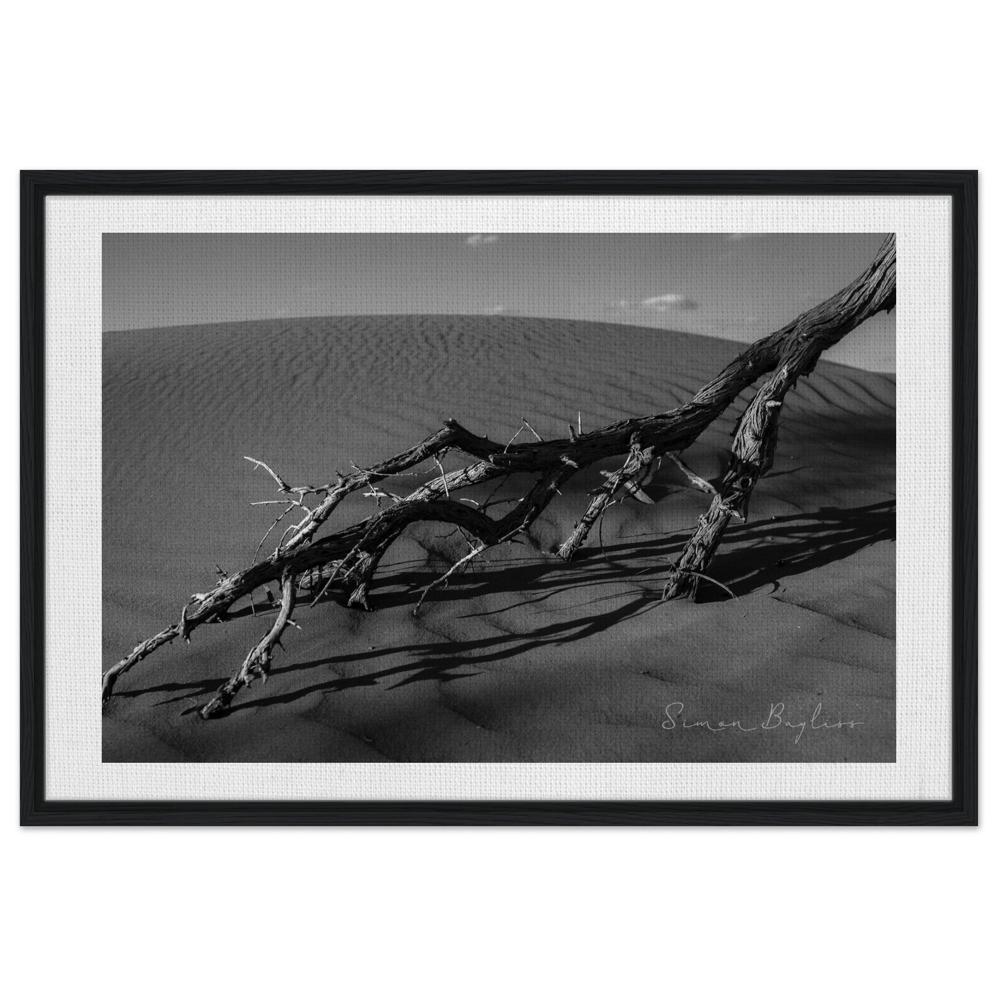 975ee1f5-bb36-439d-8b57-d75ba31aa053