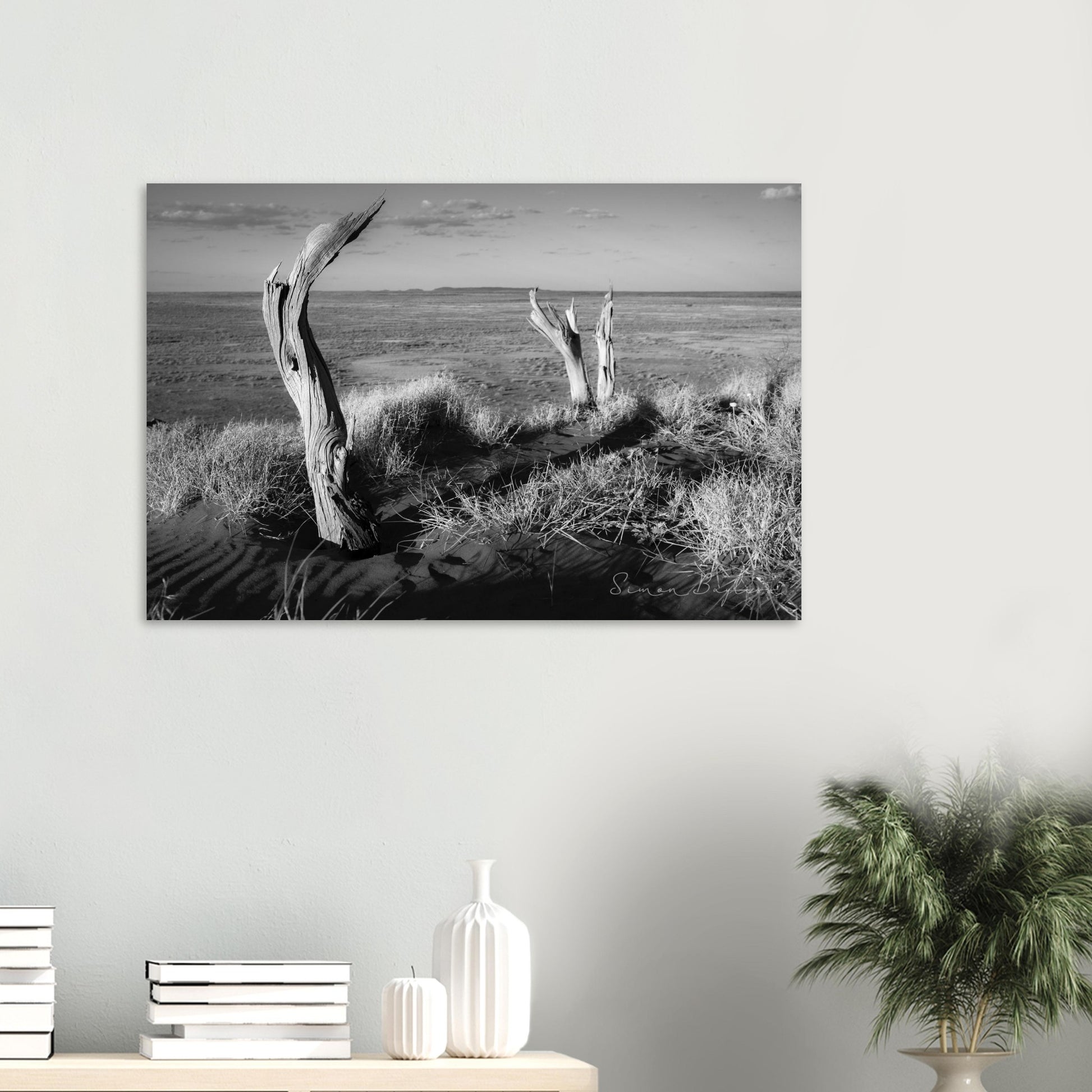 97a25d46-feb0-4eba-9e35-bbe9a83fac94