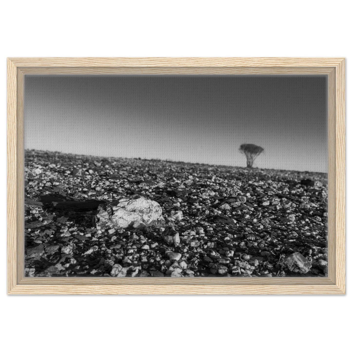 97e41169-7e0c-4567-9d50-dbf7aaeb4d59