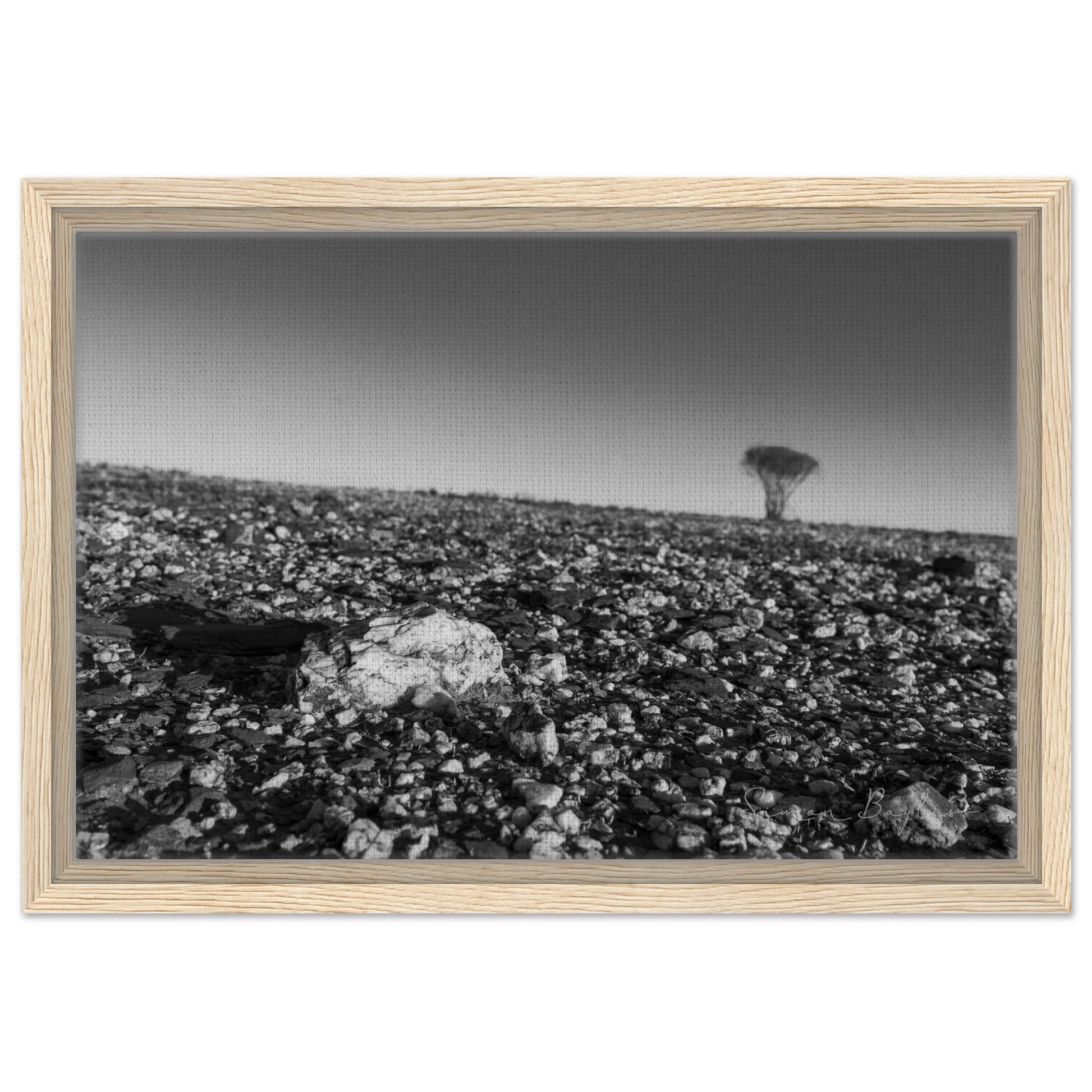 97e41169-7e0c-4567-9d50-dbf7aaeb4d59