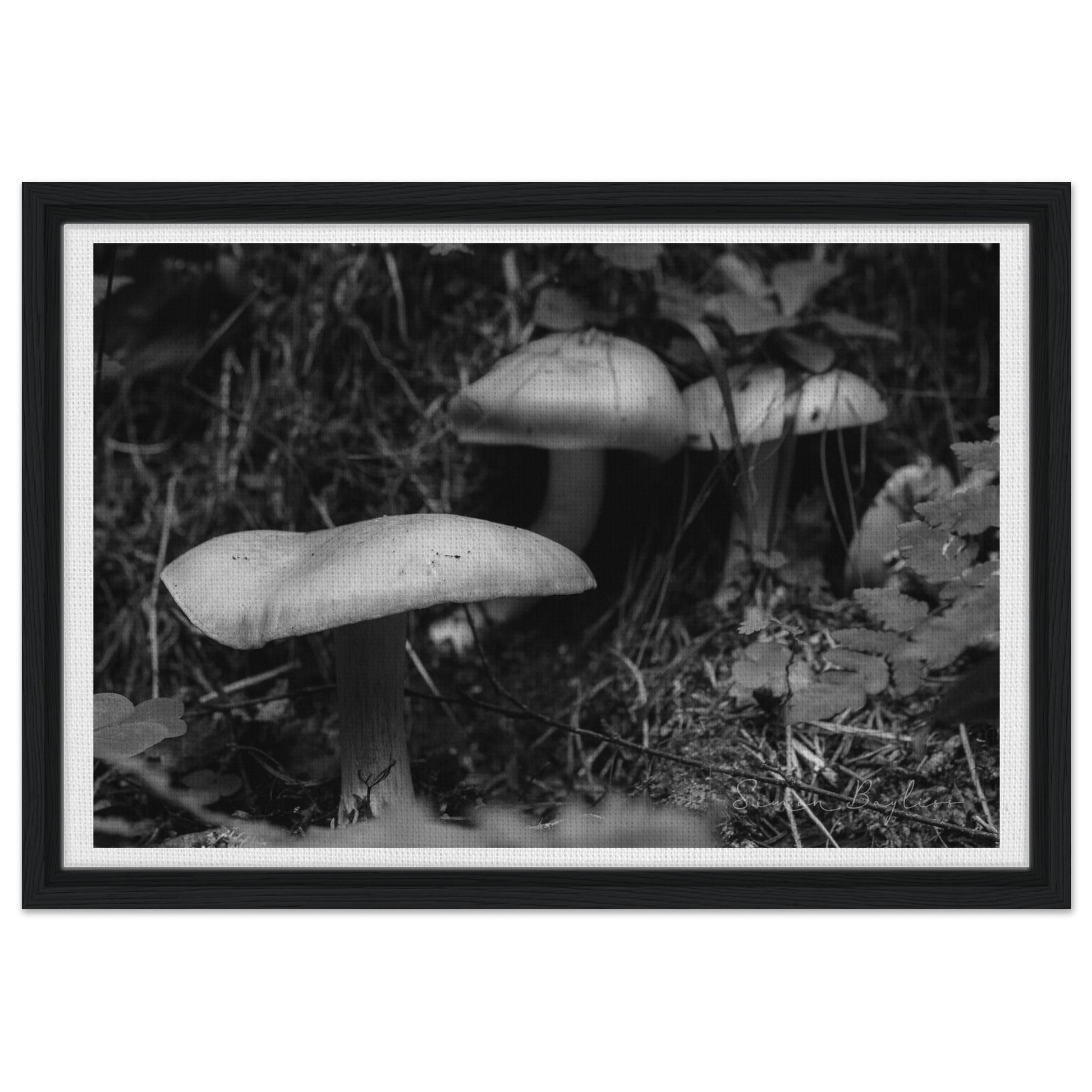 9809b29d-d5c4-4606-b91a-793206a3458a