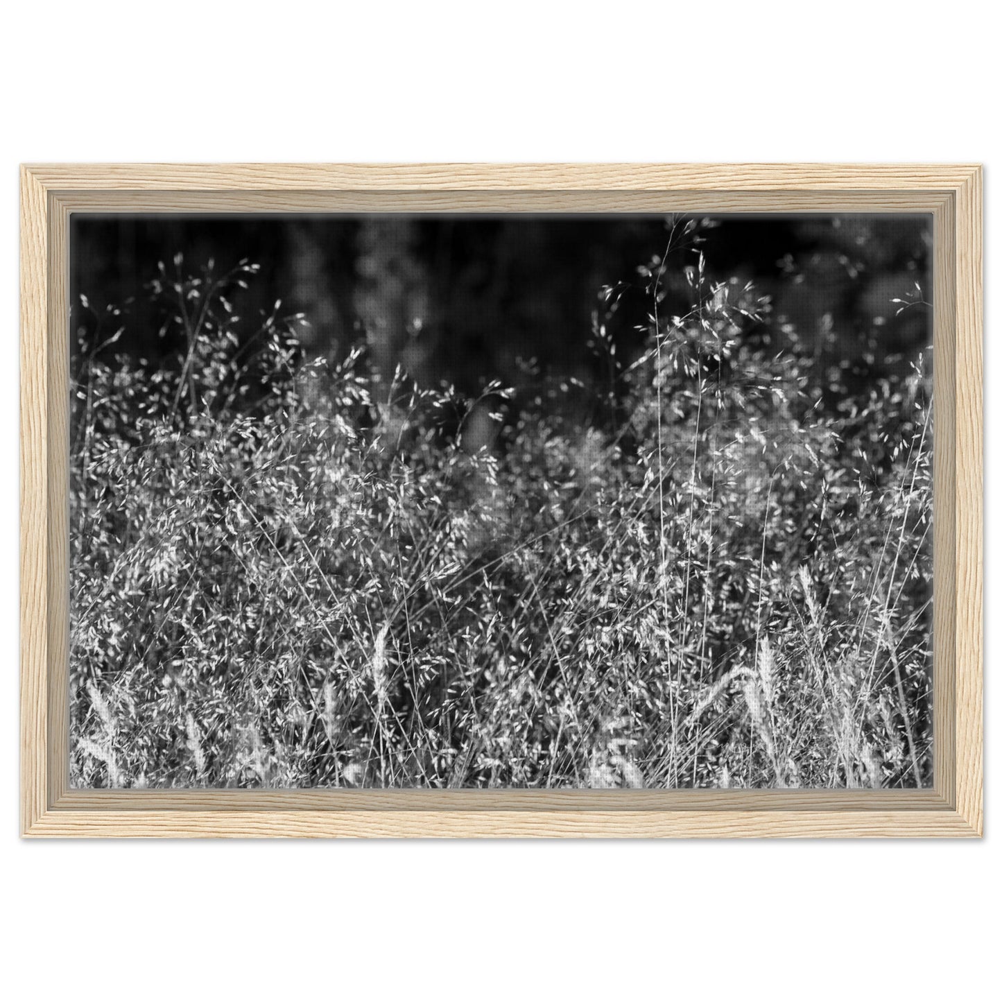 980f8883-4254-4a2c-b594-1ee5938efcca