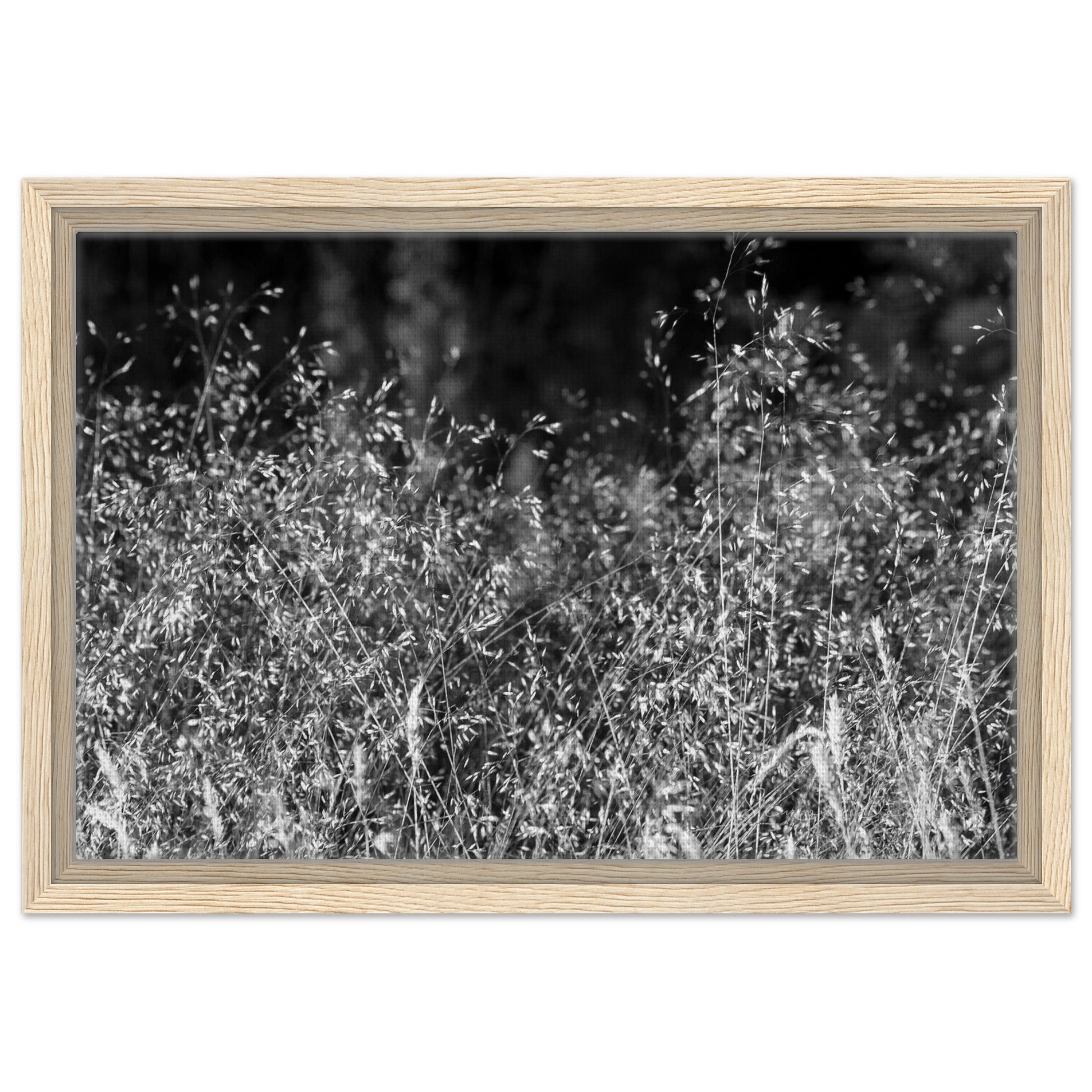 980f8883-4254-4a2c-b594-1ee5938efcca