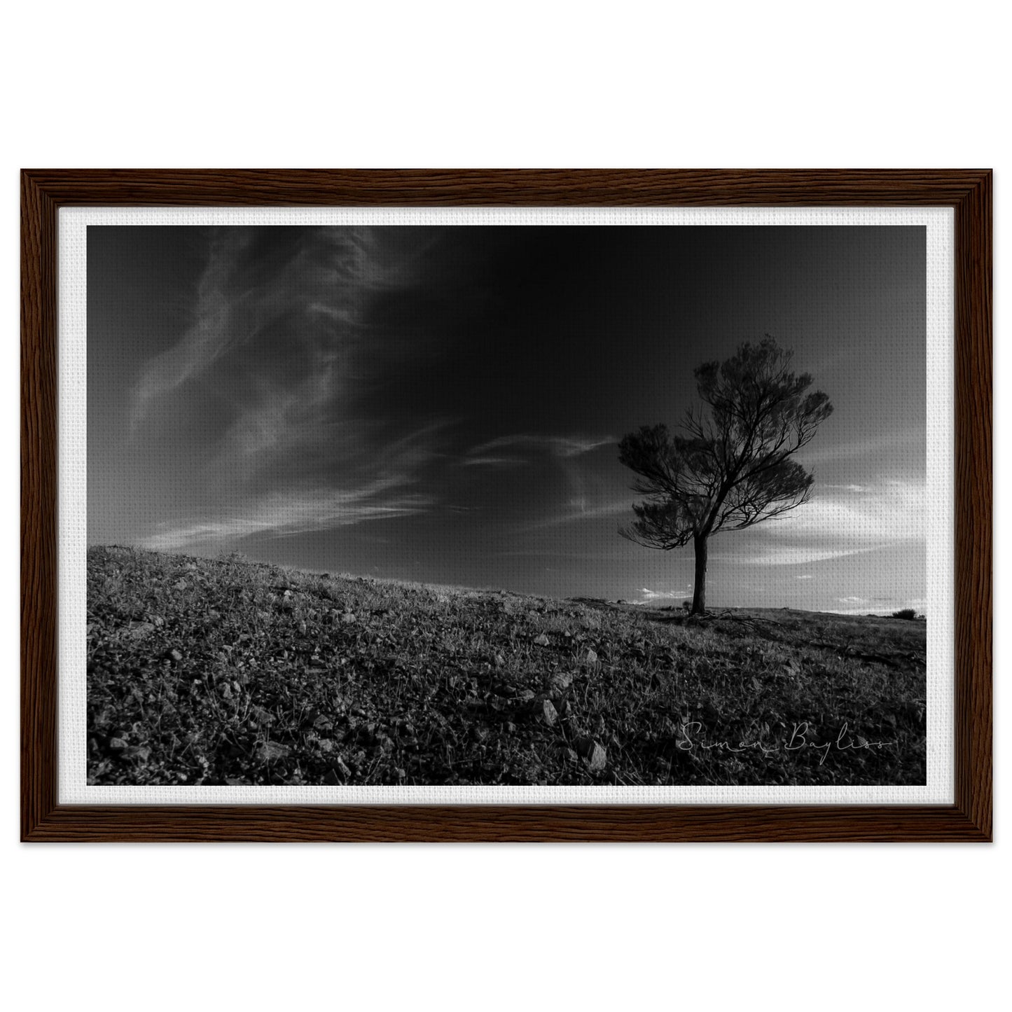 981303b8-81e8-4268-8c18-1da604666834