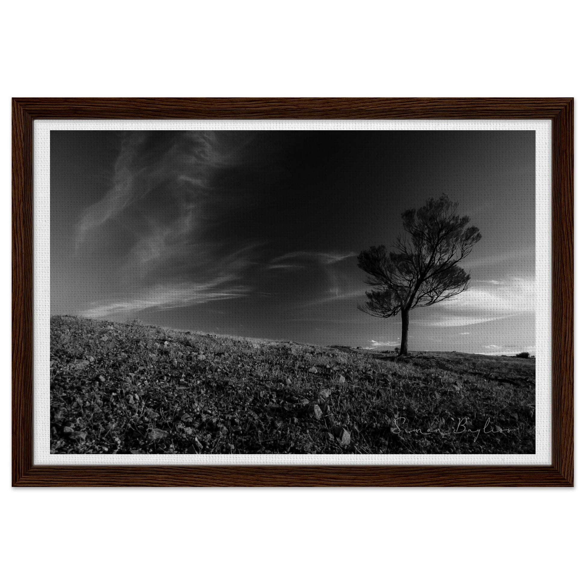 981303b8-81e8-4268-8c18-1da604666834